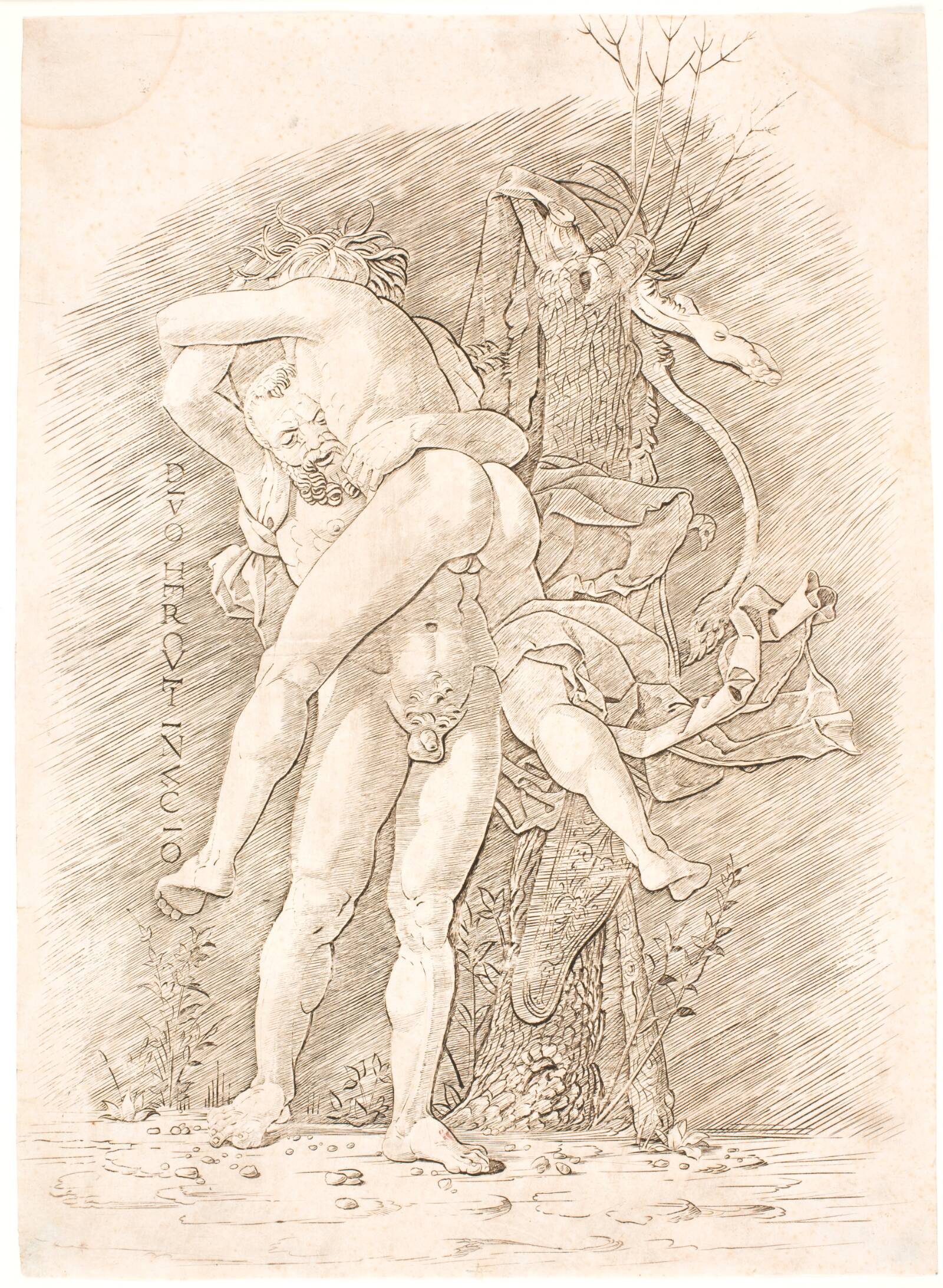 Herkules og Antæus, Ubekendt, 1470-1500