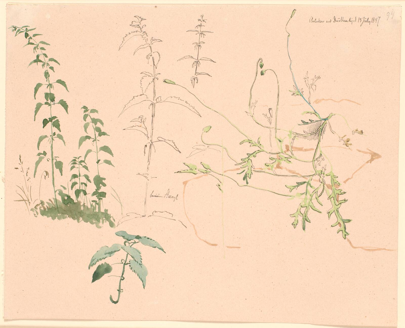 Plantestudier, Johan Thomas Lundbye, 1847