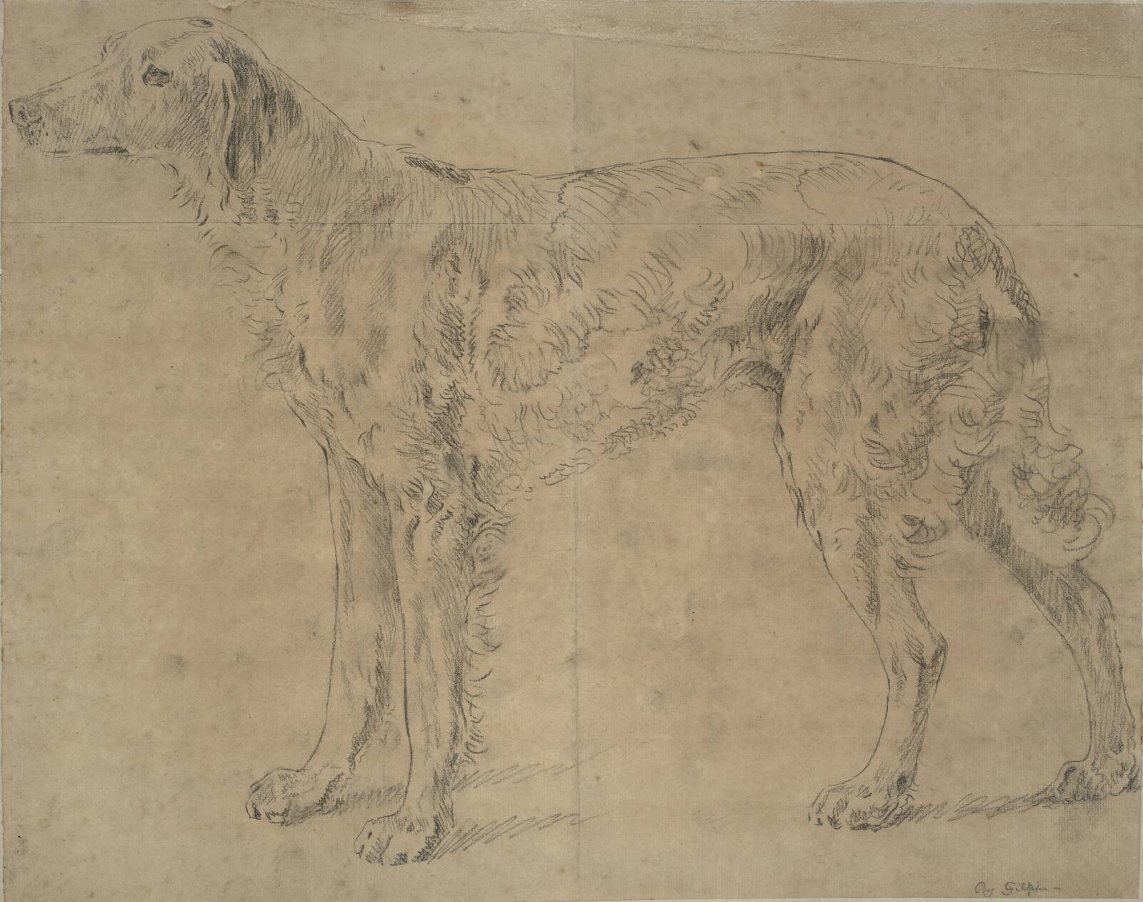 Jagthund, Sawrey Gilpin, 1733-1807