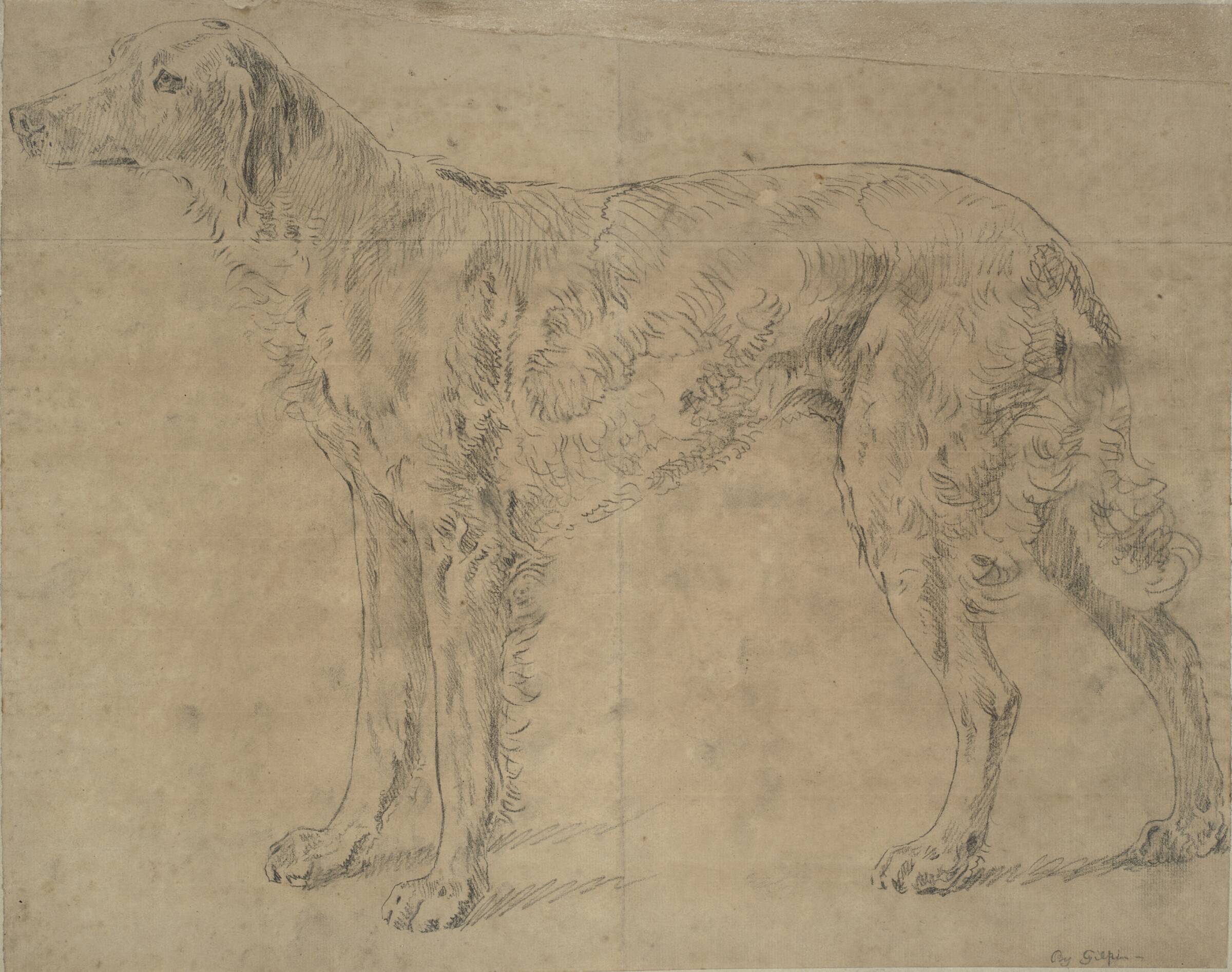 Jagthund, Sawrey Gilpin, 1733-1807
