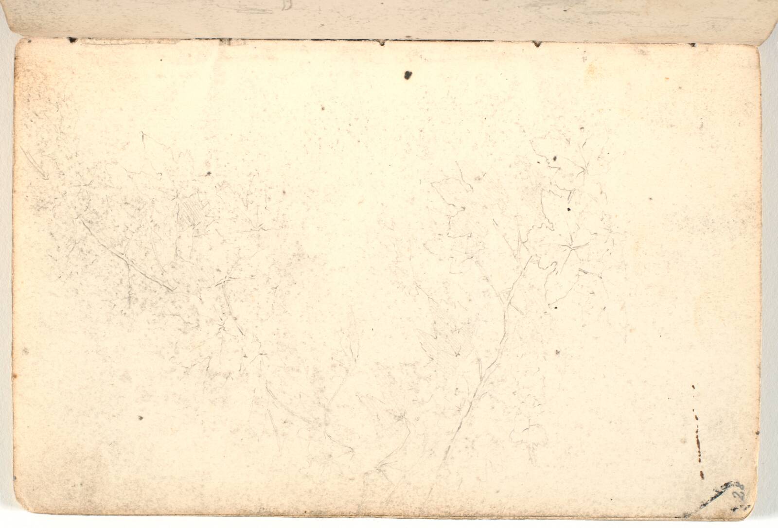 Rids af løvværk, Martinus Rørbye, 1825-1826