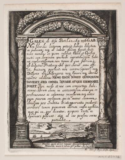 Illustration til Simon Paulli, "Quadripartitum Botanicum", 1667