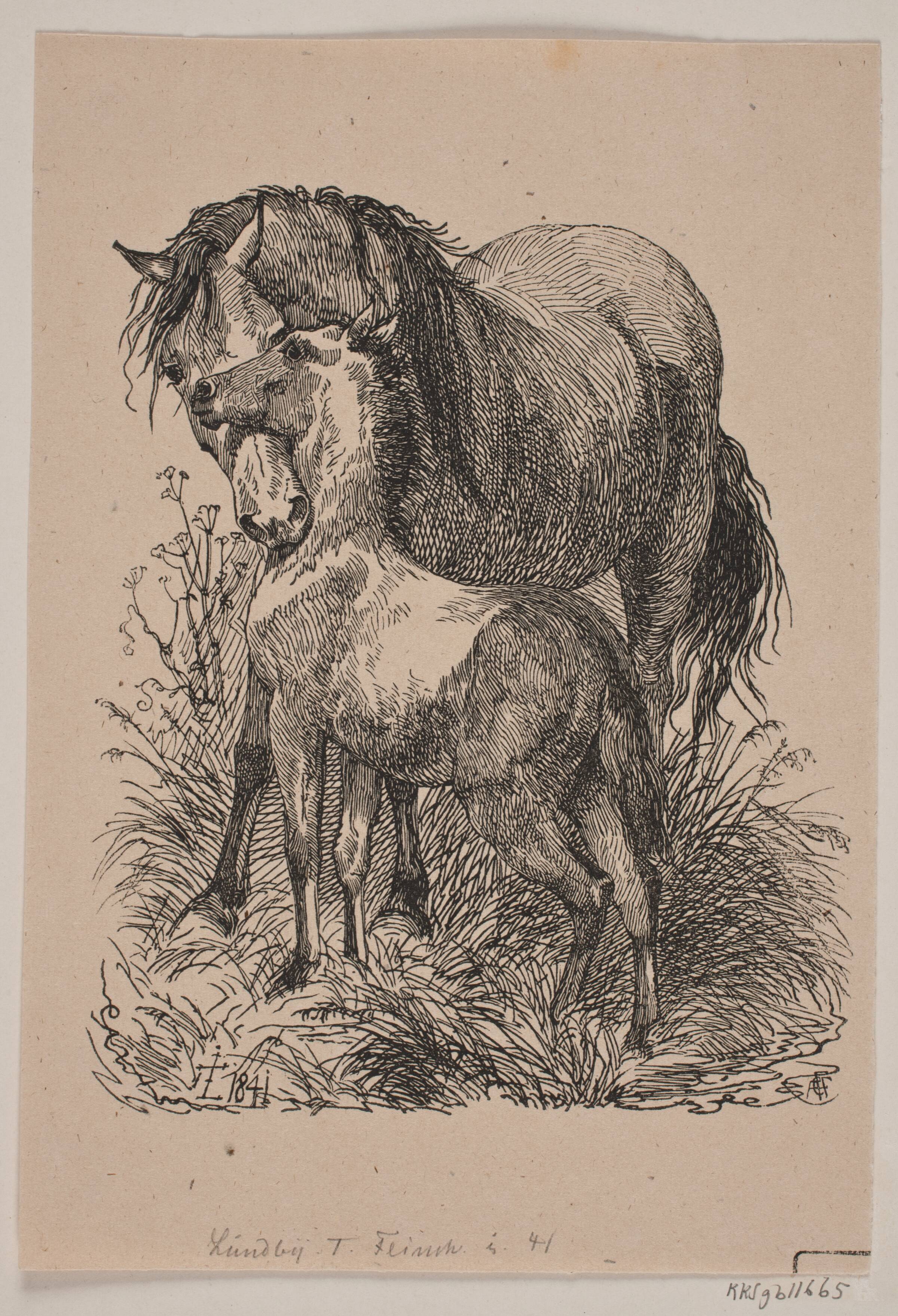 Hoppen og føllet, Andreas Flinch, 1841