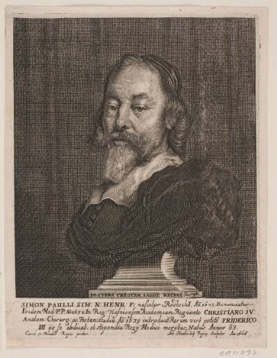 Simon Paulli. Illustration til Simon Paulli, "Quadripartitum Botanicum", 1667