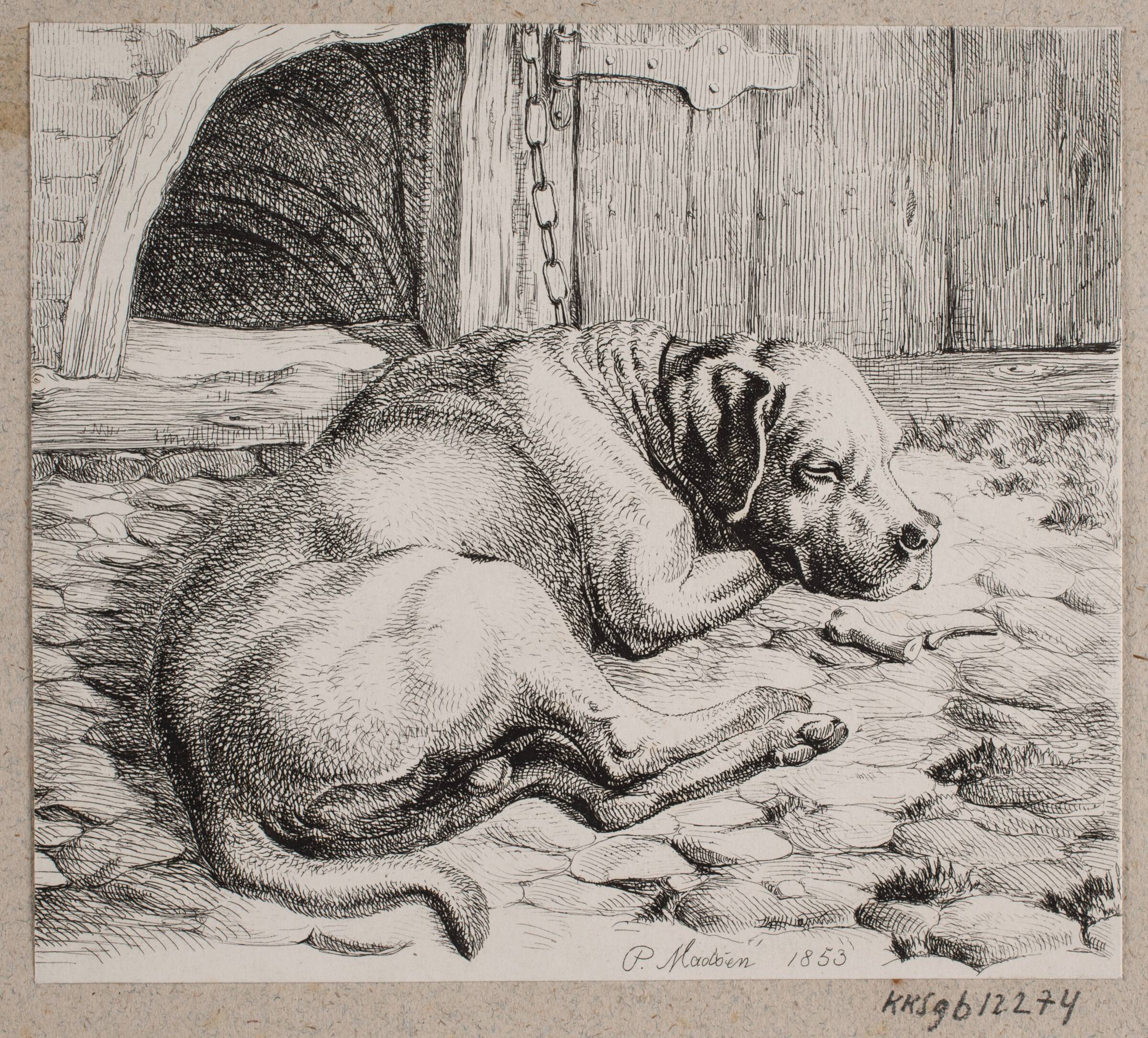 En sovende lænkehund, Madsen, A.P., 1853