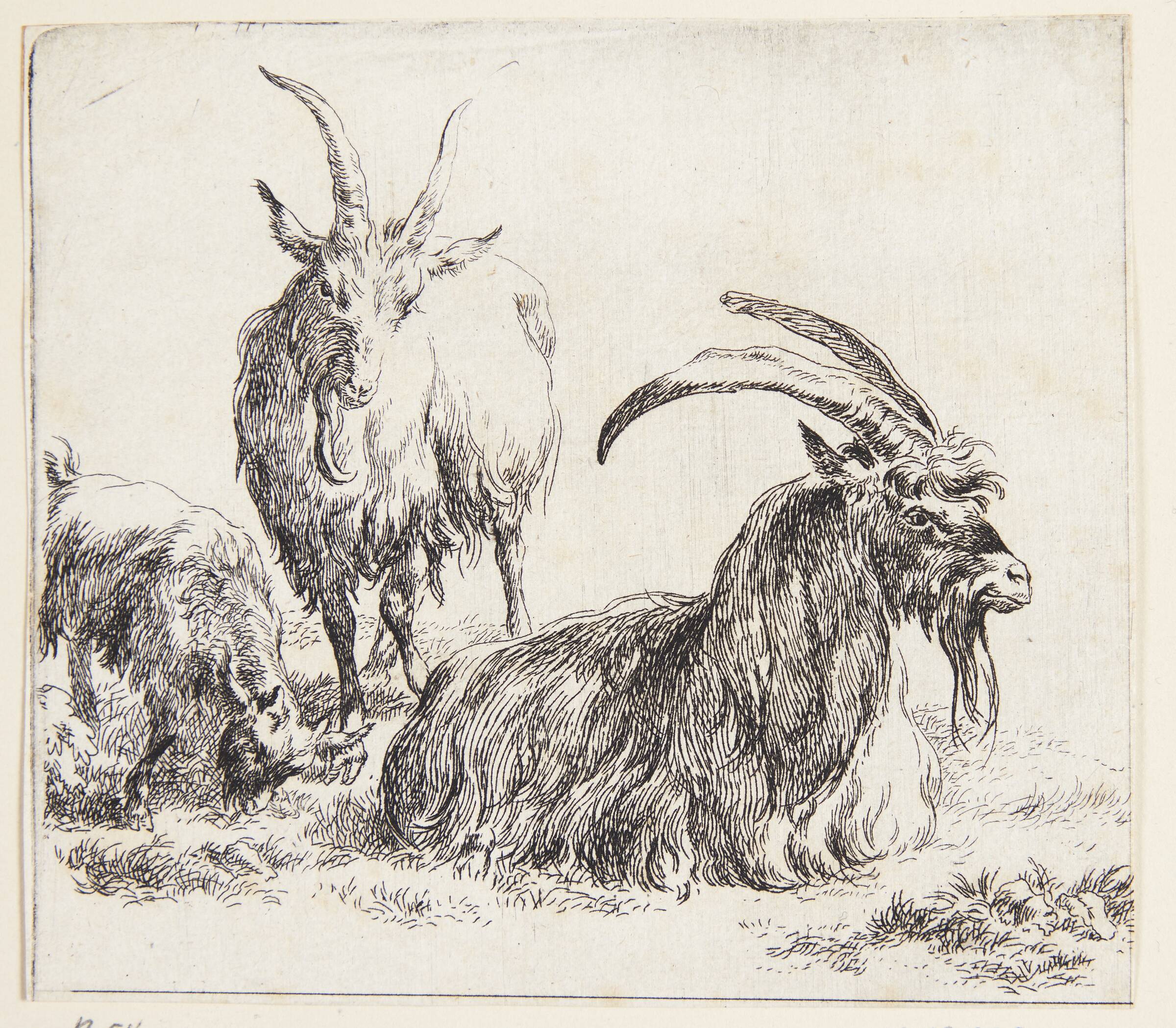 To geder og et kid, Nicolaes Berchem, 1620-1683