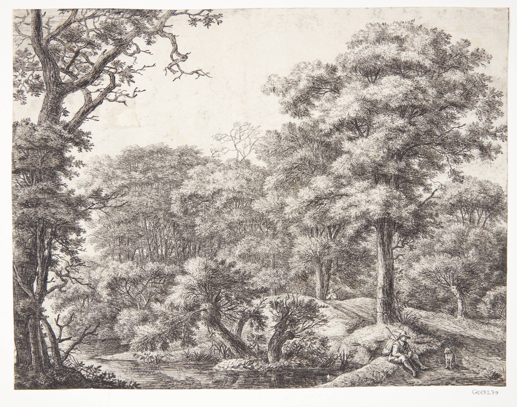 En rejsende, der gør holdt i en skov