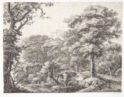 En rejsende, der gør holdt i en skov
