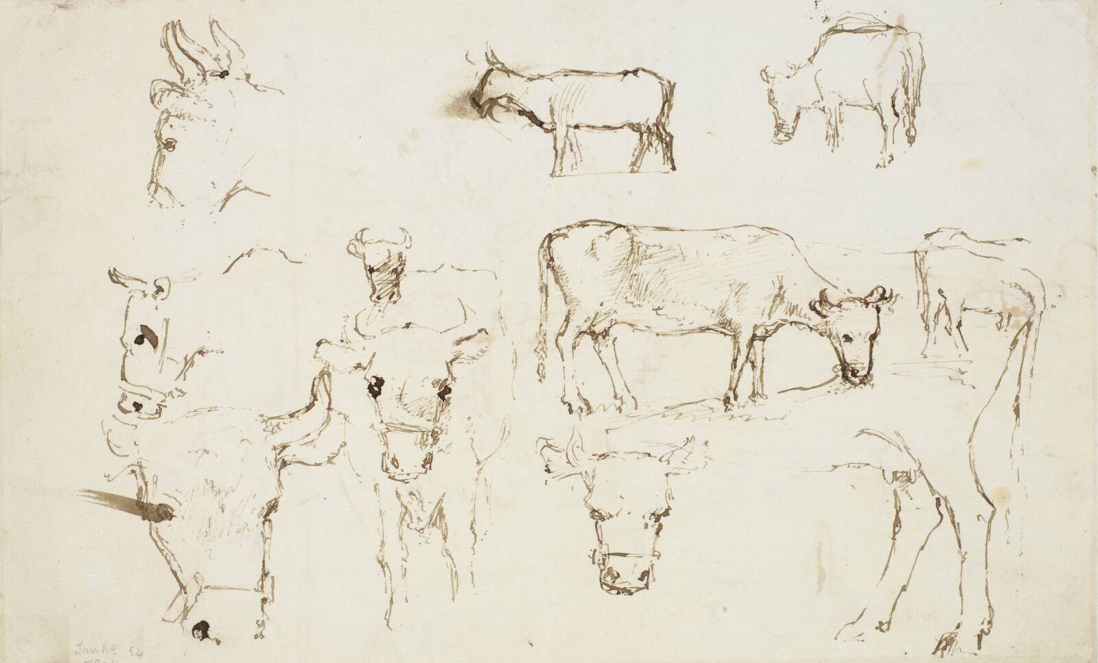 Studier af køer, Dankvart Dreyer, 1840-1849