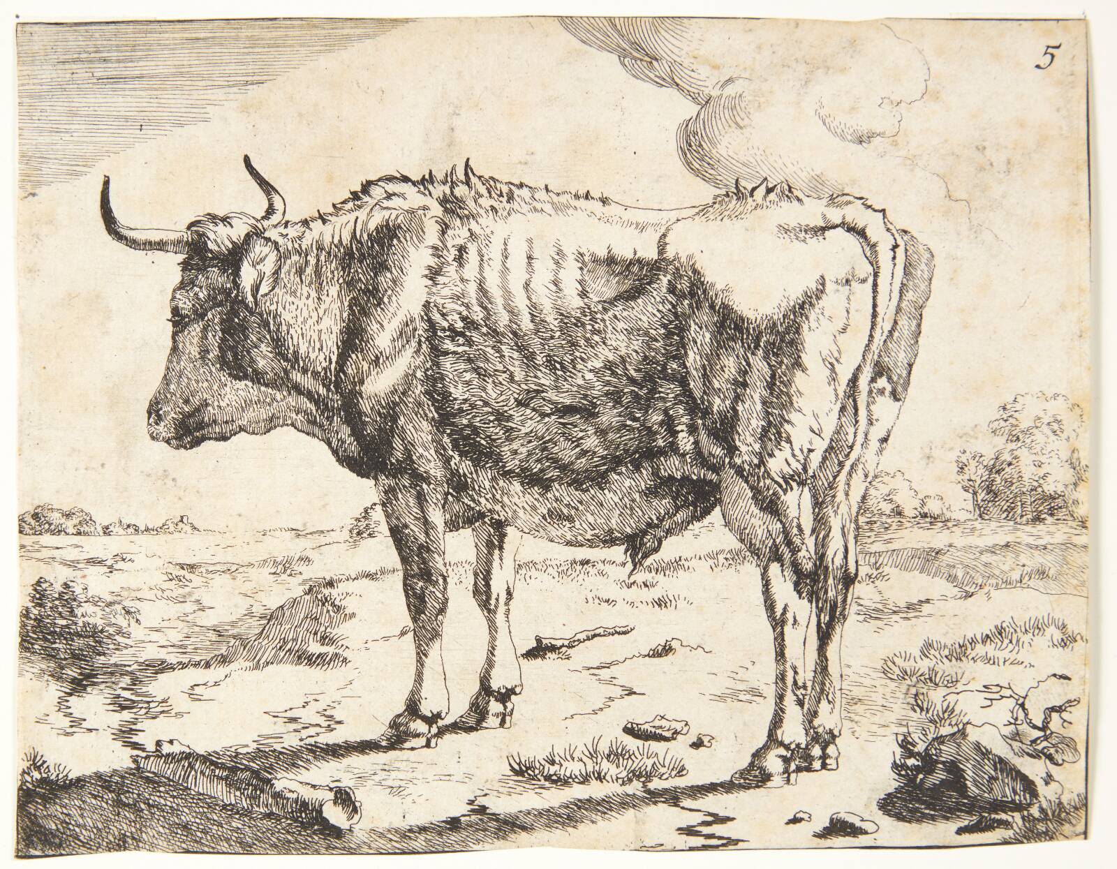 Stående stud, Marcus de Bye, 1638-1690