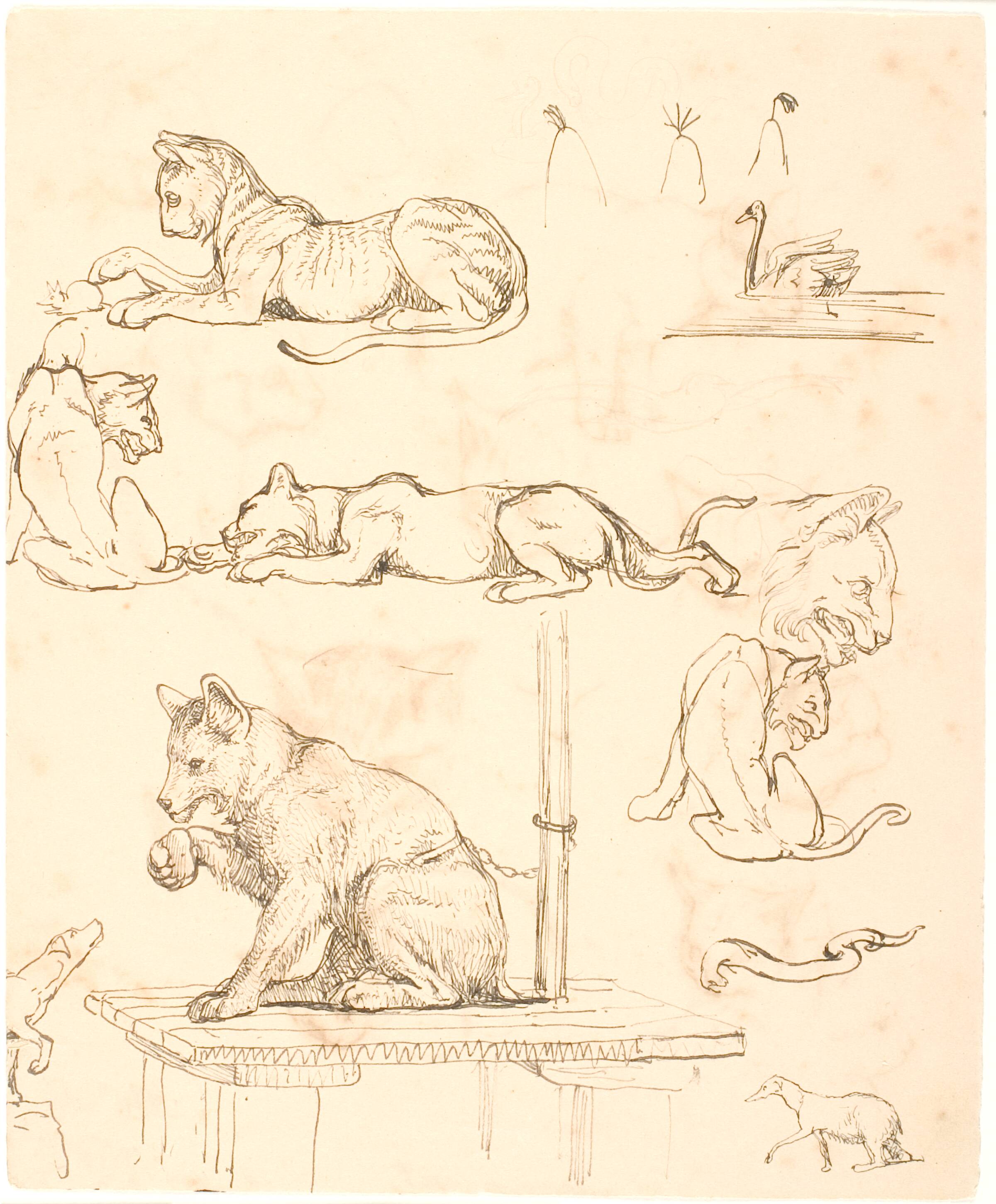 Dyrestudier, Lorenz Frølich, 1839