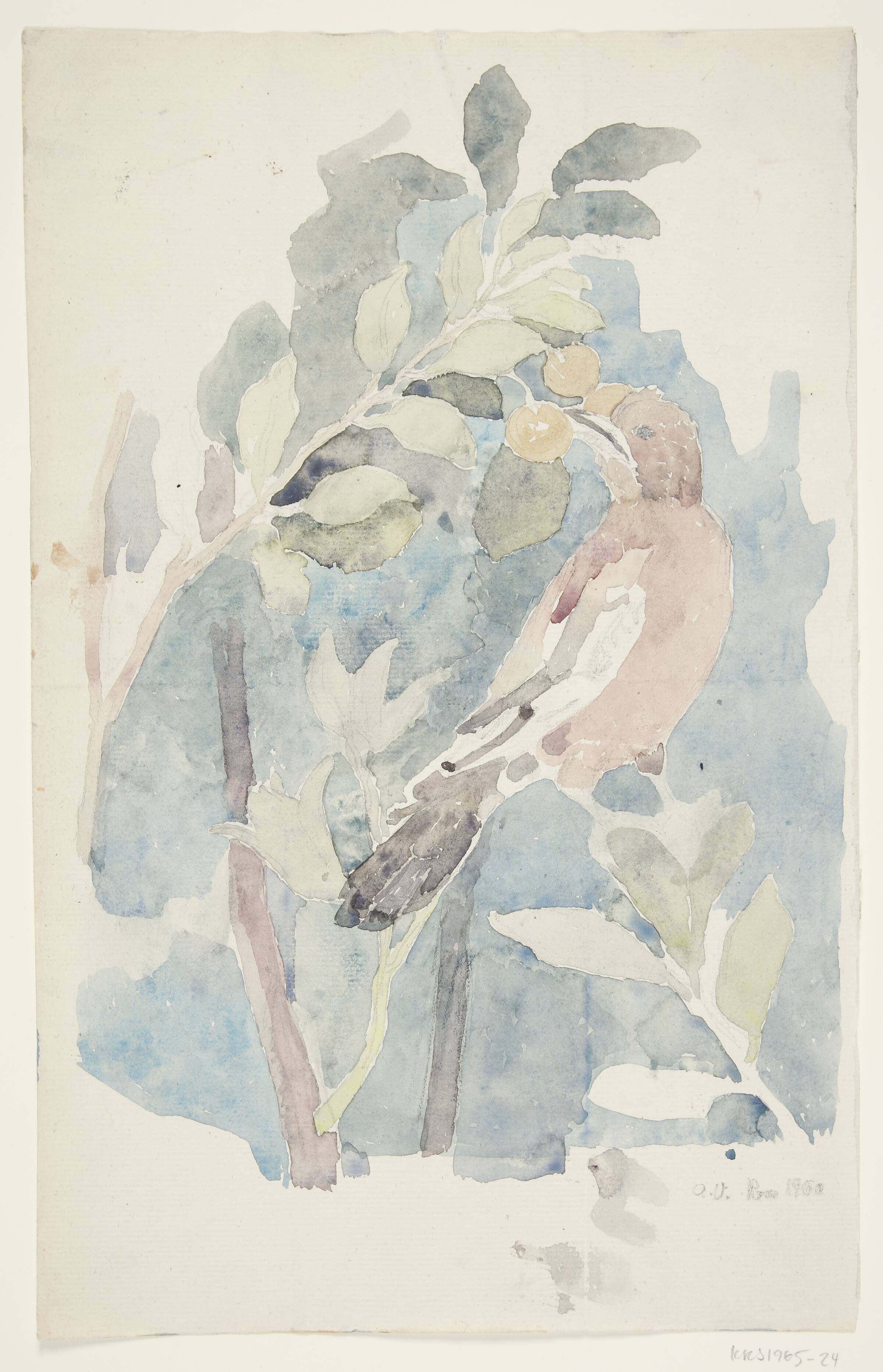 Fugl, der spiser bær. Kopi af vægmaleri i "Livets villa", nu i Termemuseet, Rom, Agnete Varming, 1960