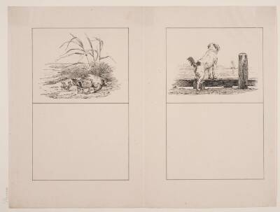 Den dræbte and; Hunden ved stranden