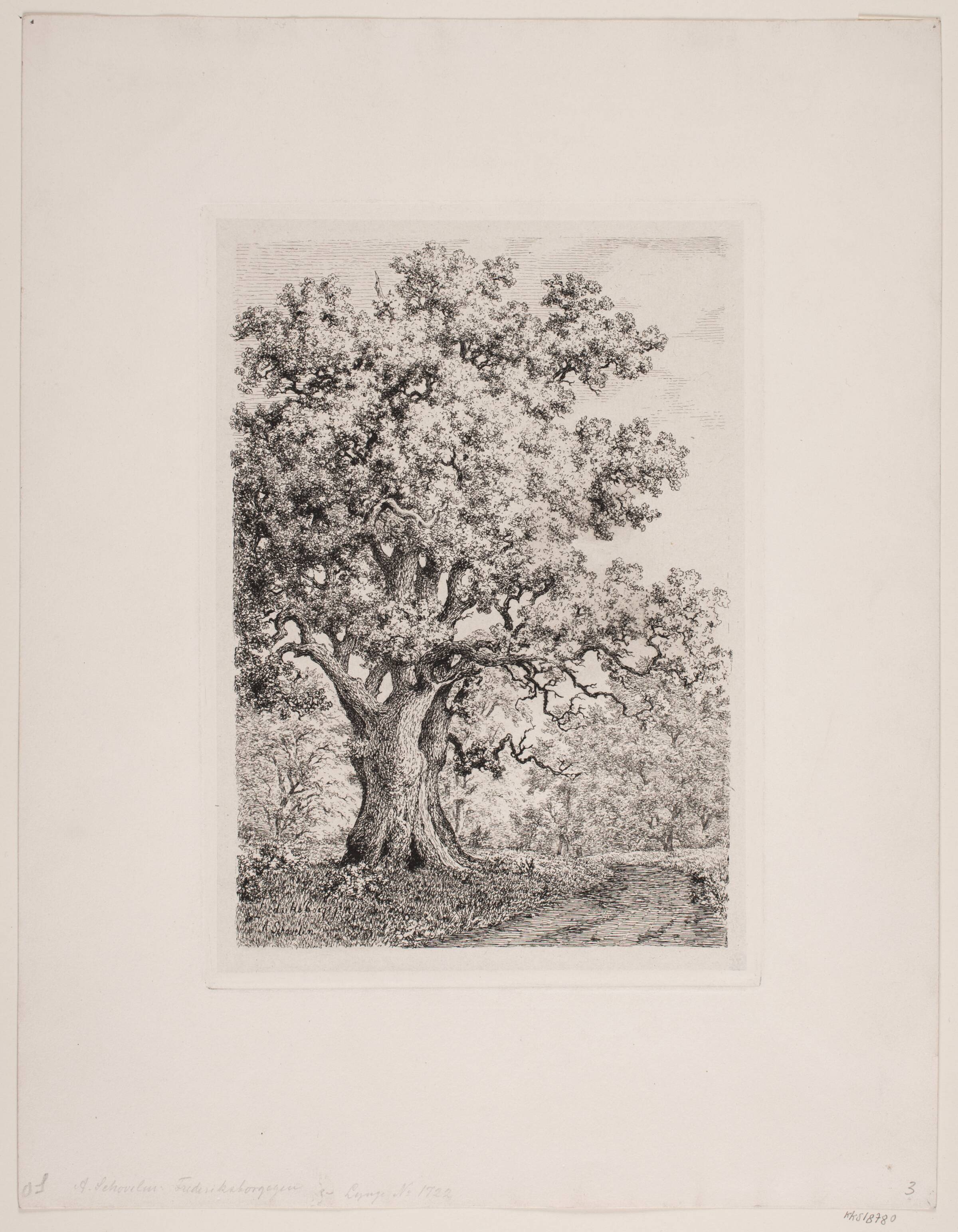 Frederiksborgegen, Axel Schovelin, 1880