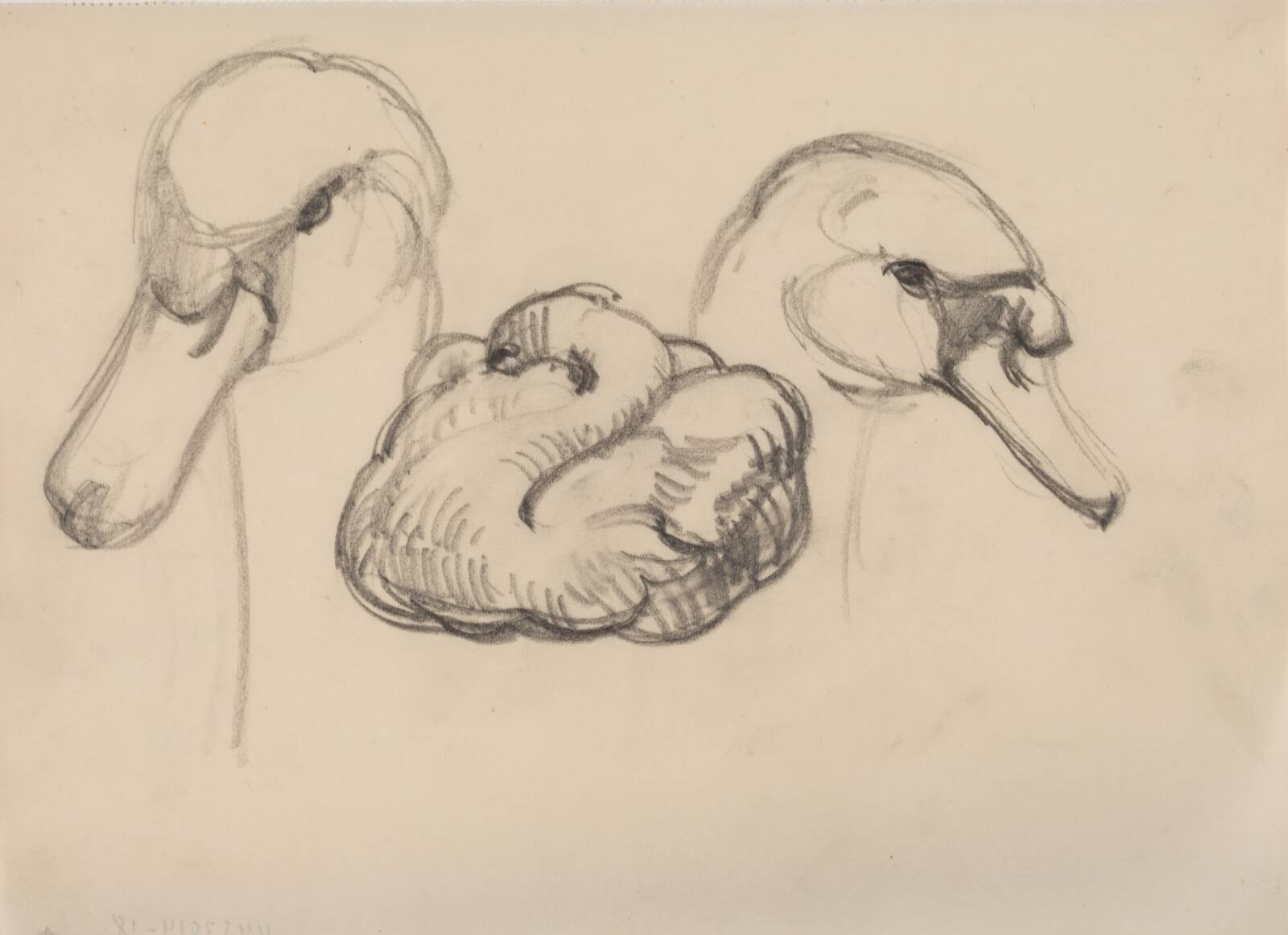 Svane og hoveder af svaner, J.A. Jerichau, 1911