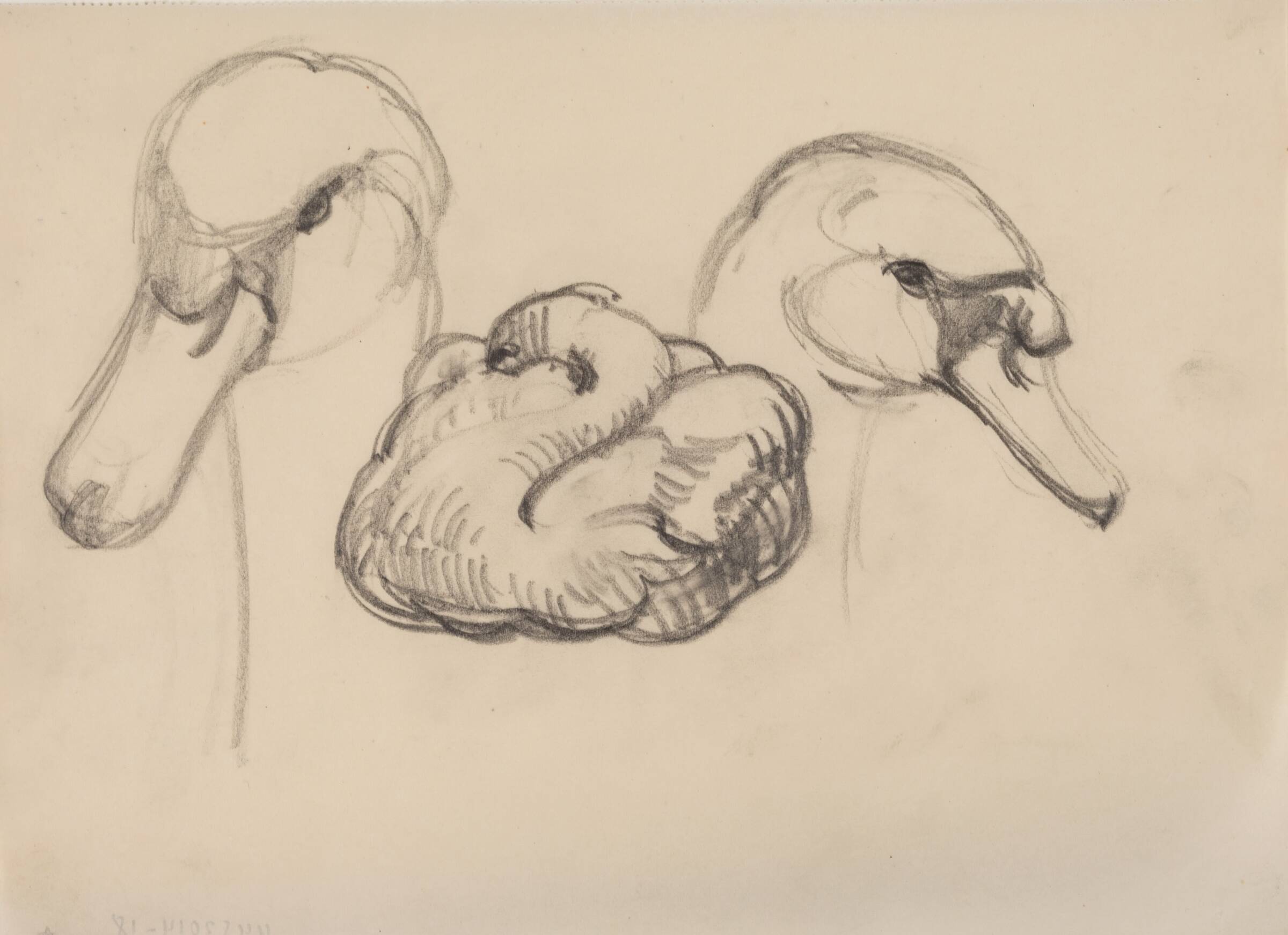 Svane og hoveder af svaner, J.A. Jerichau, 1911