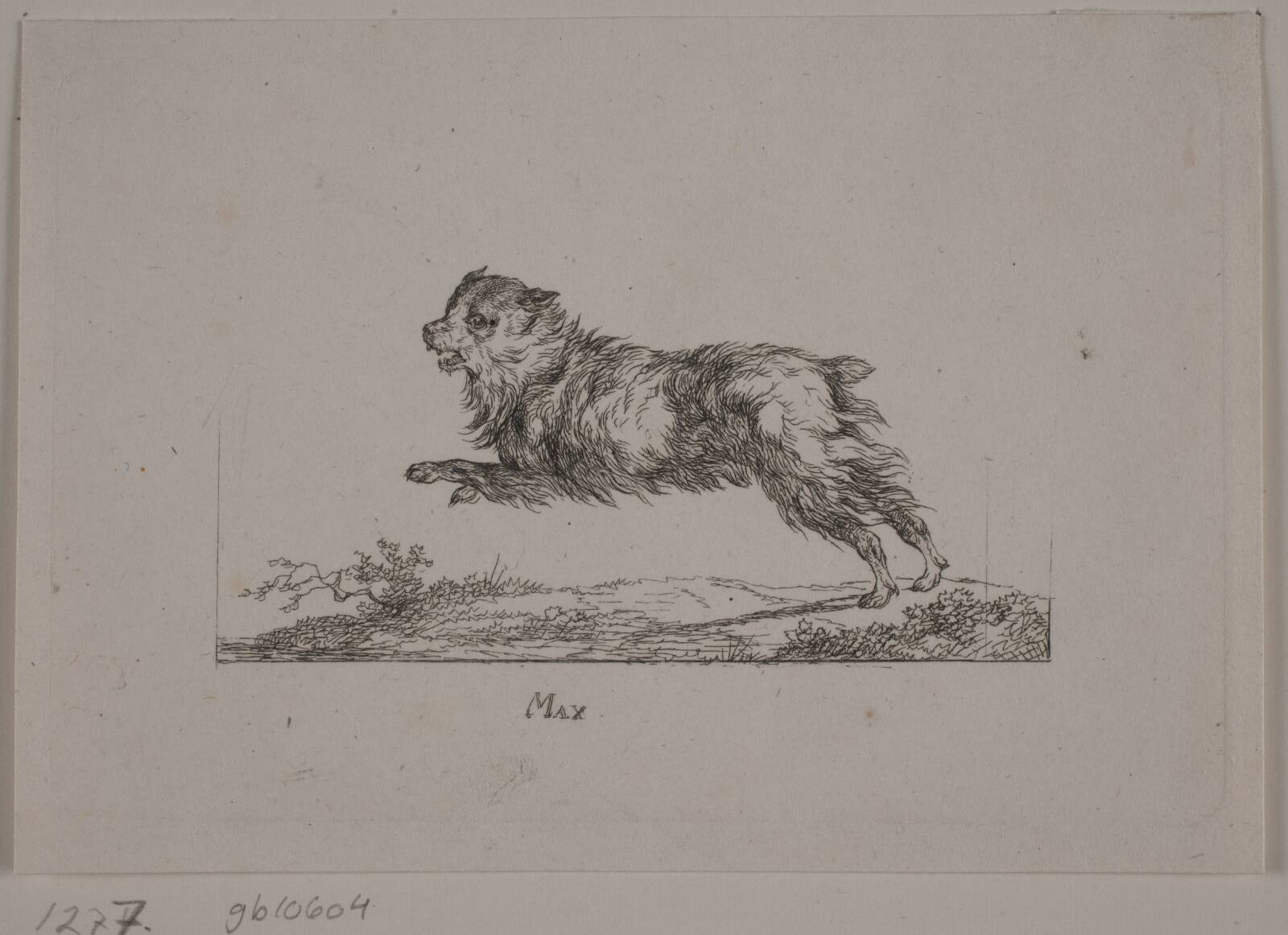 Max, løbende hund, Christian David Gebauer, 1819