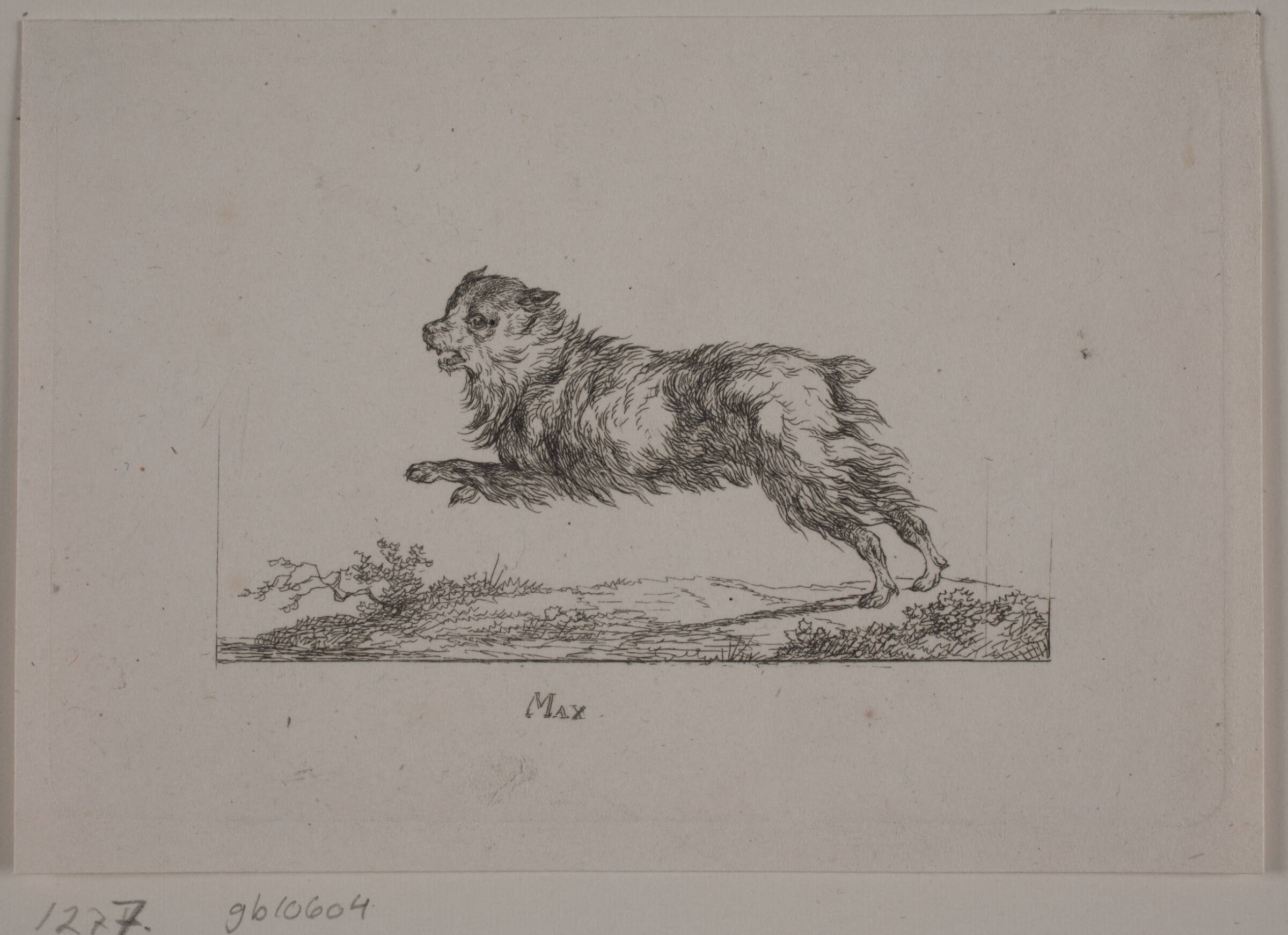 Max, løbende hund, Christian David Gebauer, 1819