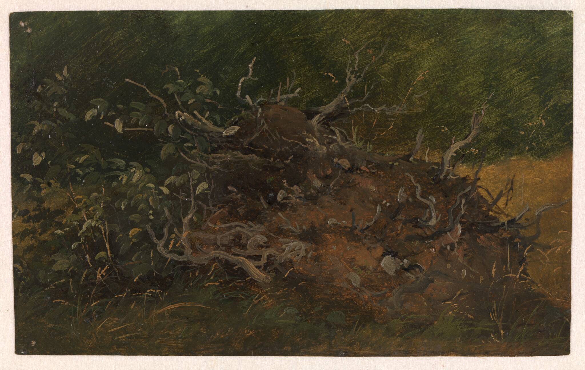 Studie af et stød, 1843 – 1847, Vilhelm Petersen | SMK Open