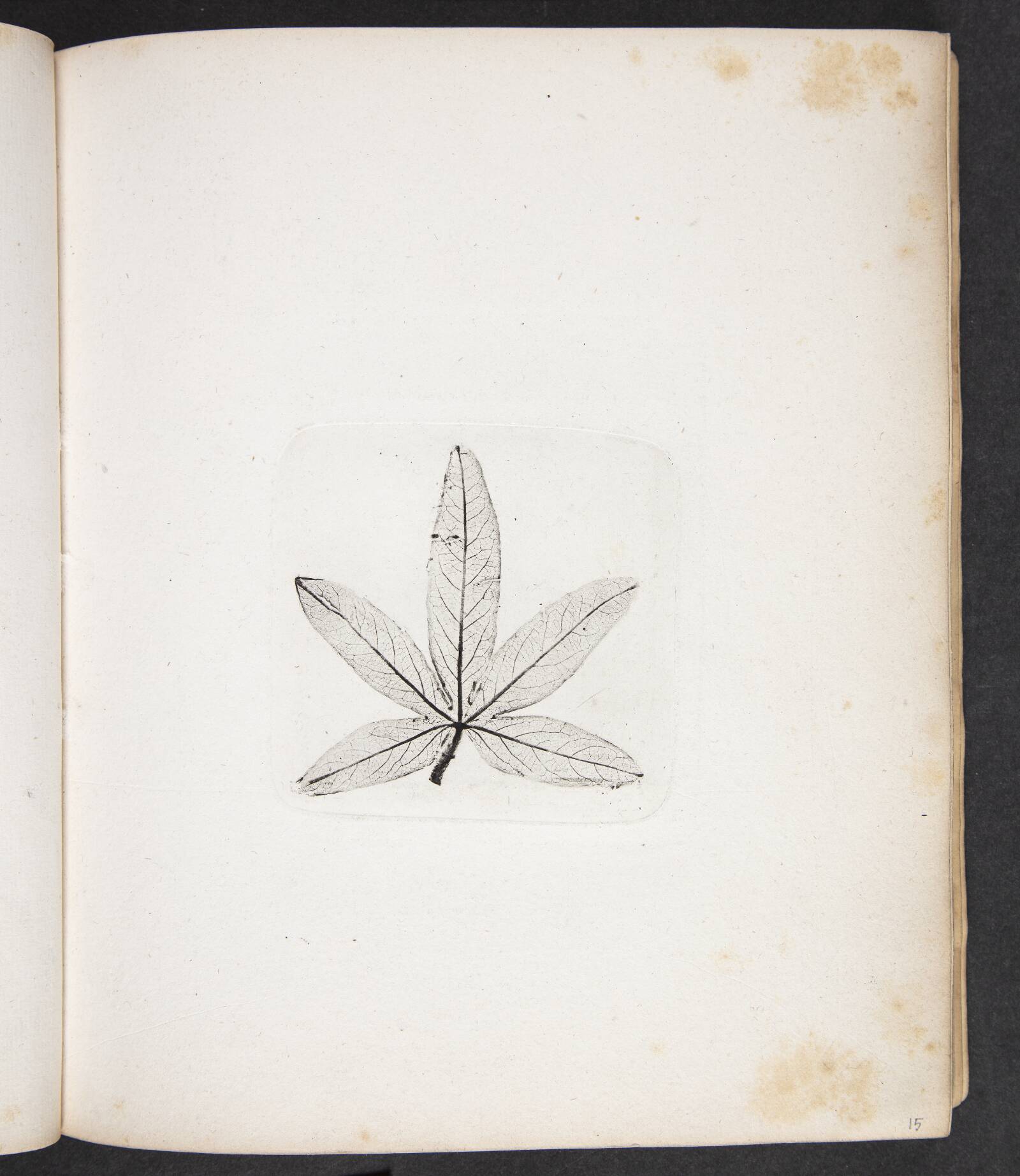 Aftryk af blad, Peter Larsen Kyhl, 1833