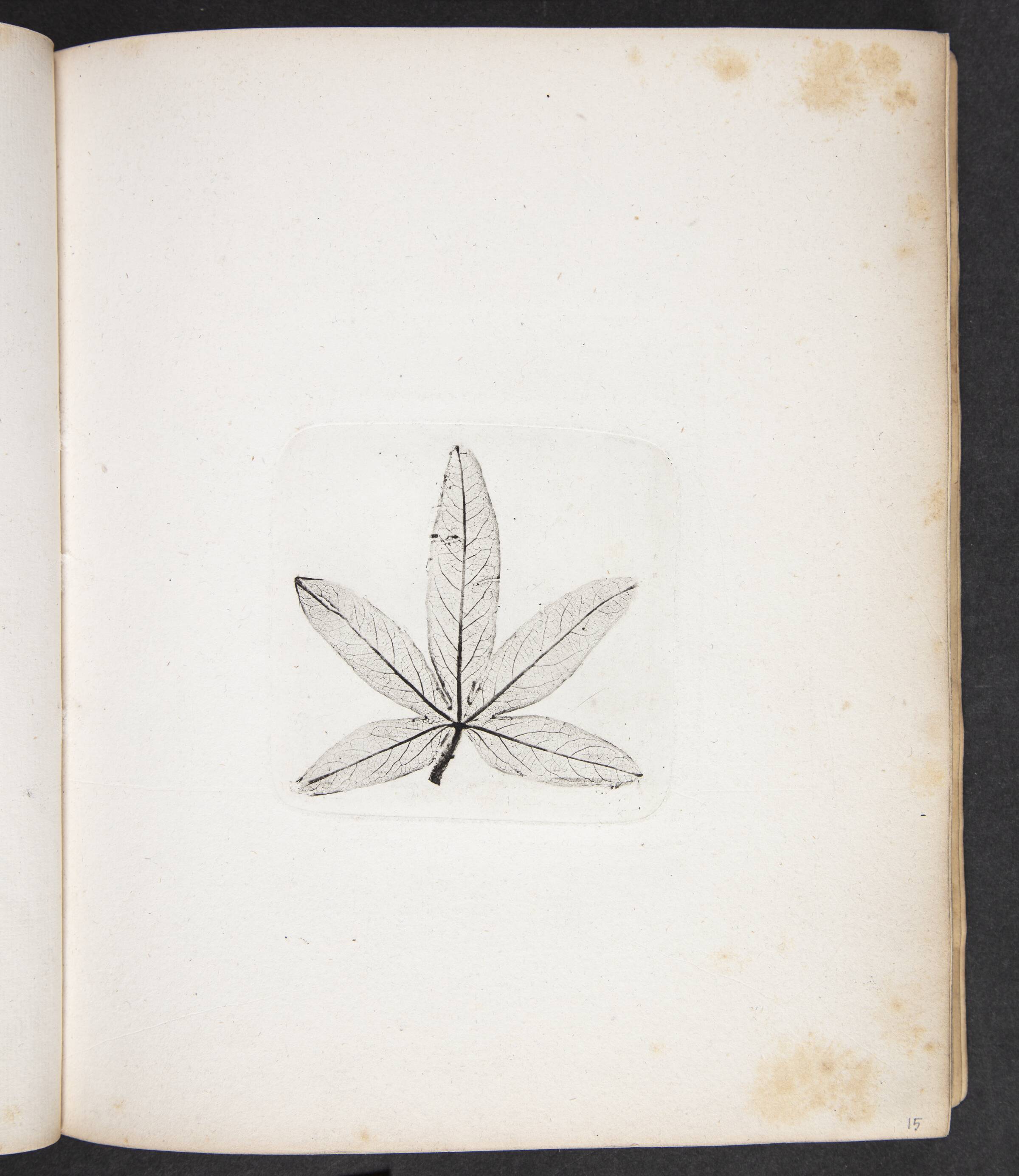 Aftryk af blad, Peter Larsen Kyhl, 1833