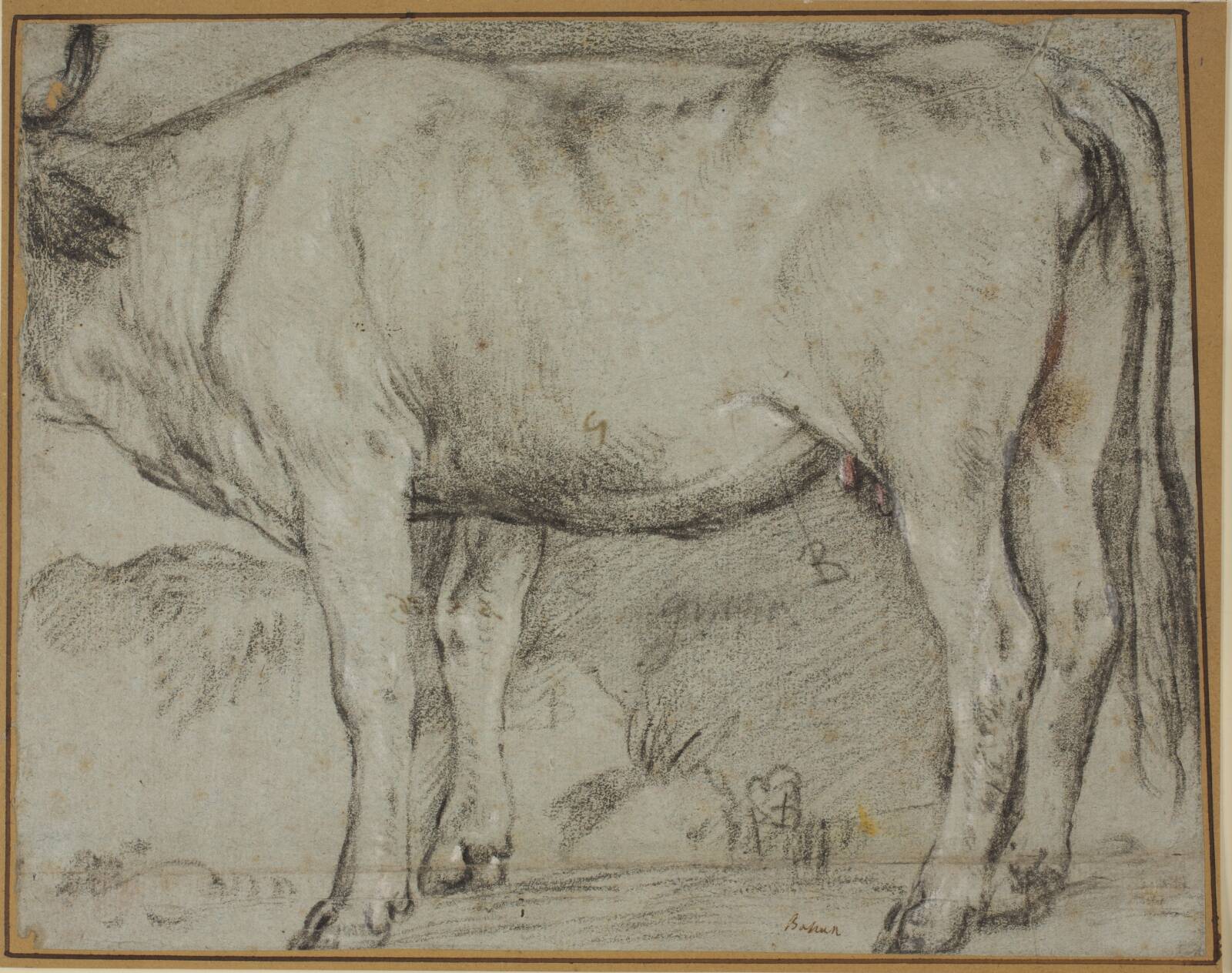 Stående ko (hovedet mangler), Carlo Caliari, 1576-1599