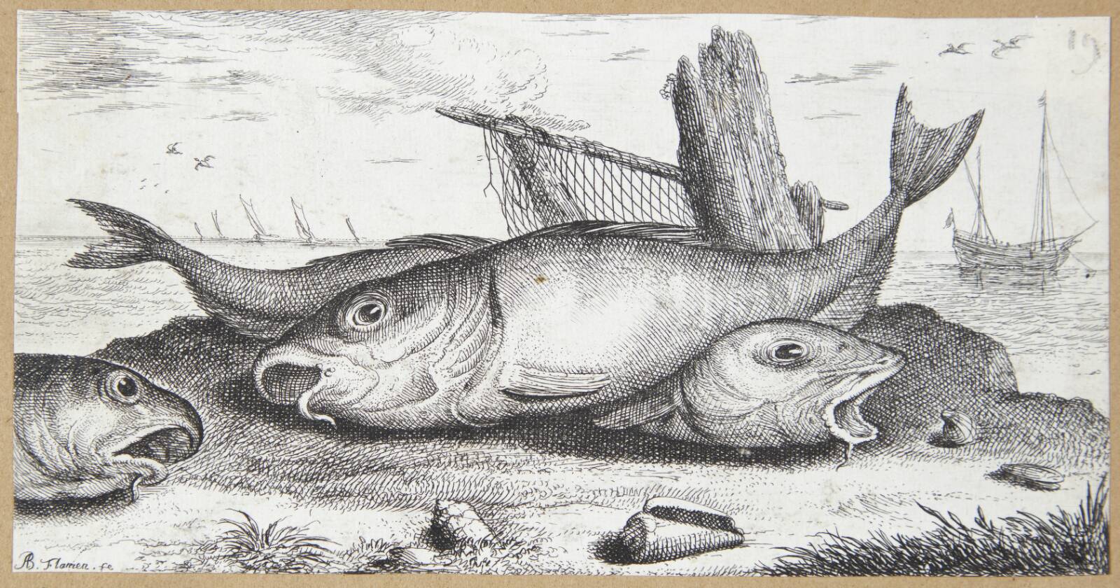 Kuller (Edefinus), Albert Flamen, 1620-1669