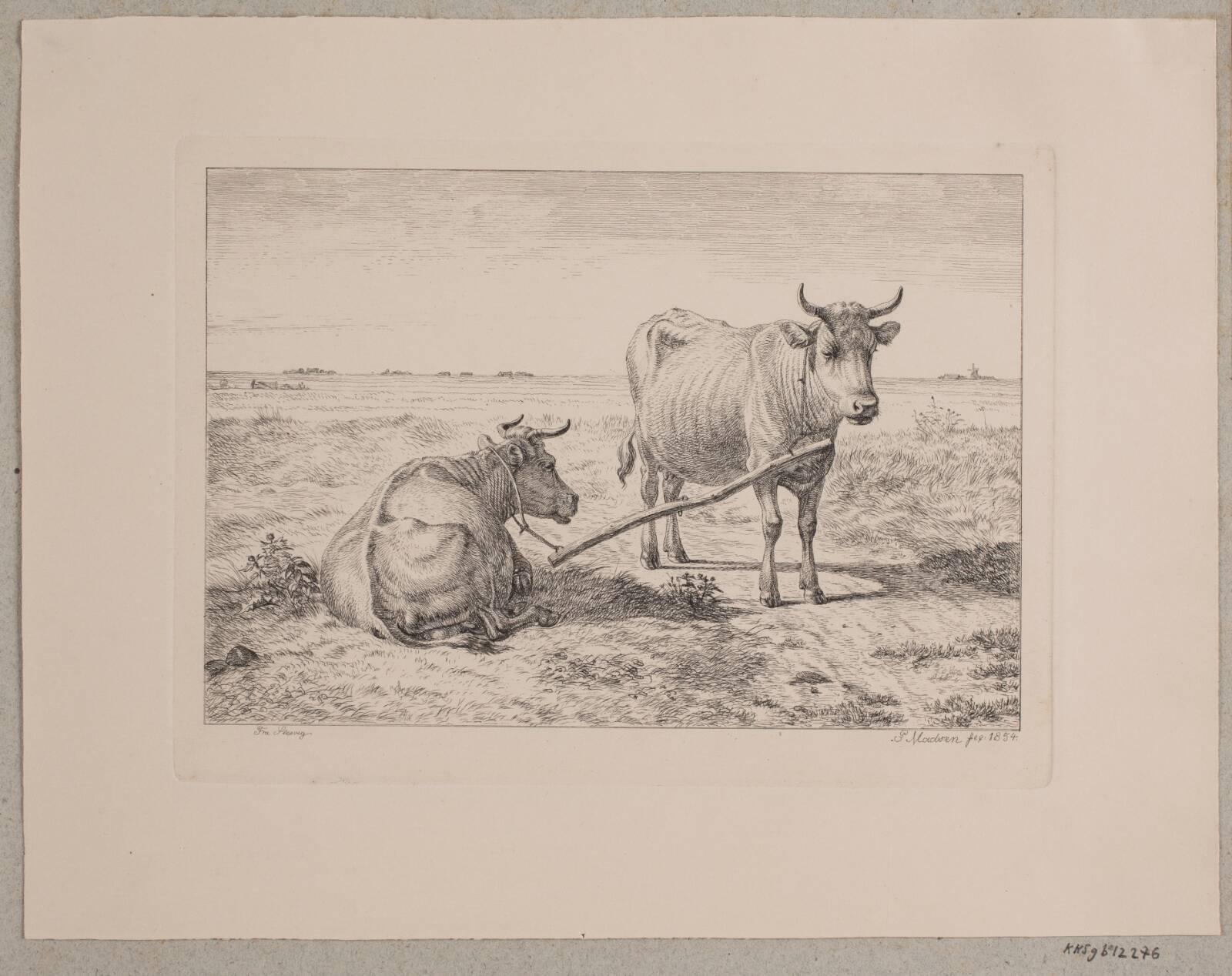 To sammenkoblede køer, Madsen, A.P., 1854