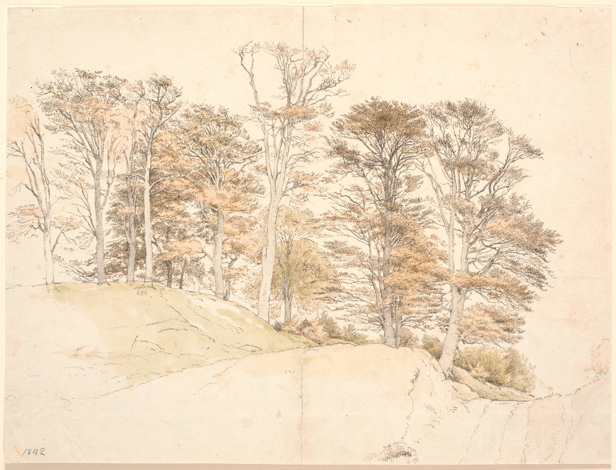 Høje træer med efterårsløv på bakket grund, P.C. Skovgaard, 1842
