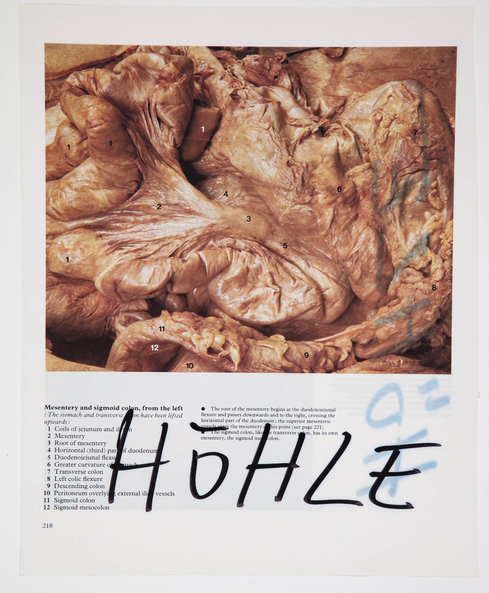 Höhle, Christian Lemmerz, 1994
