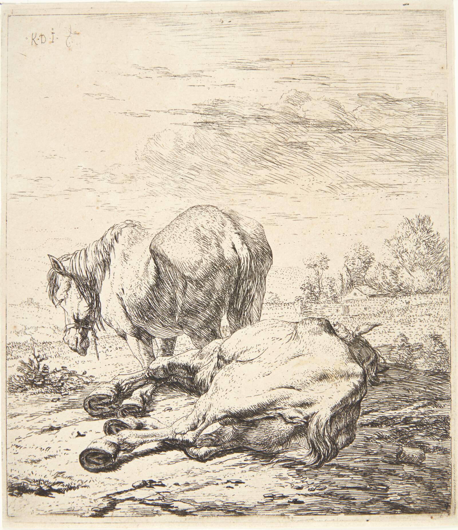 To heste, Karel Du Jardin, 1626-1678