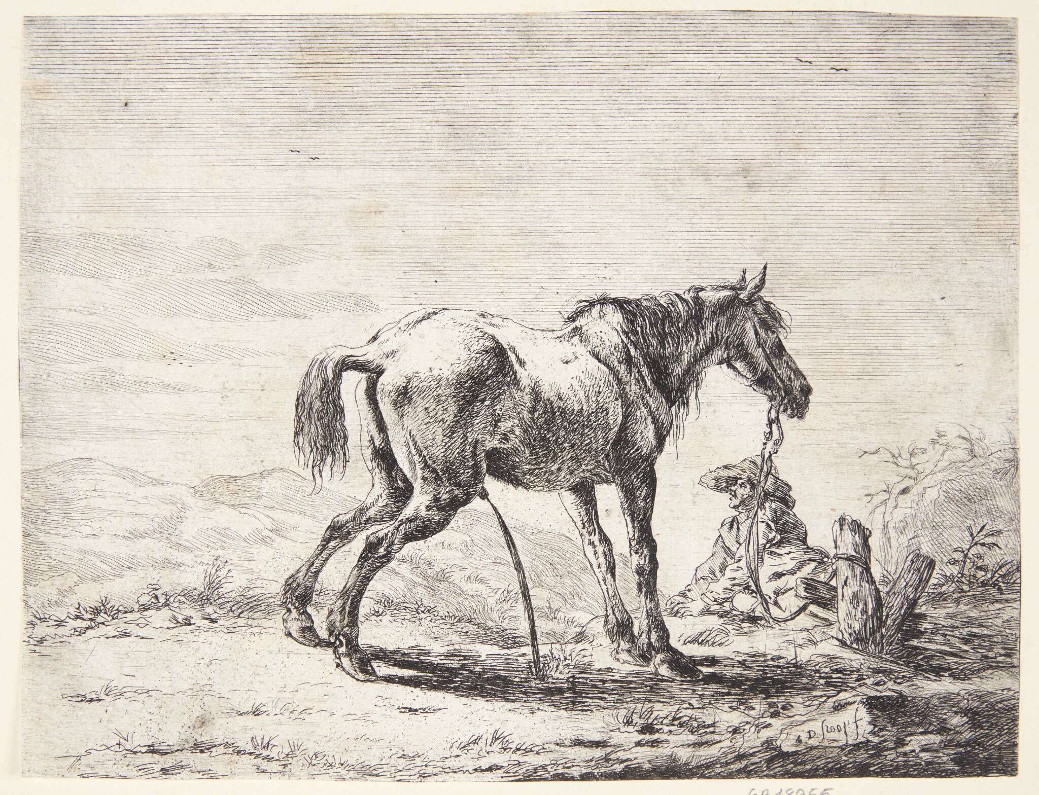 Pissende hest