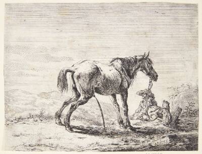 Pissende hest