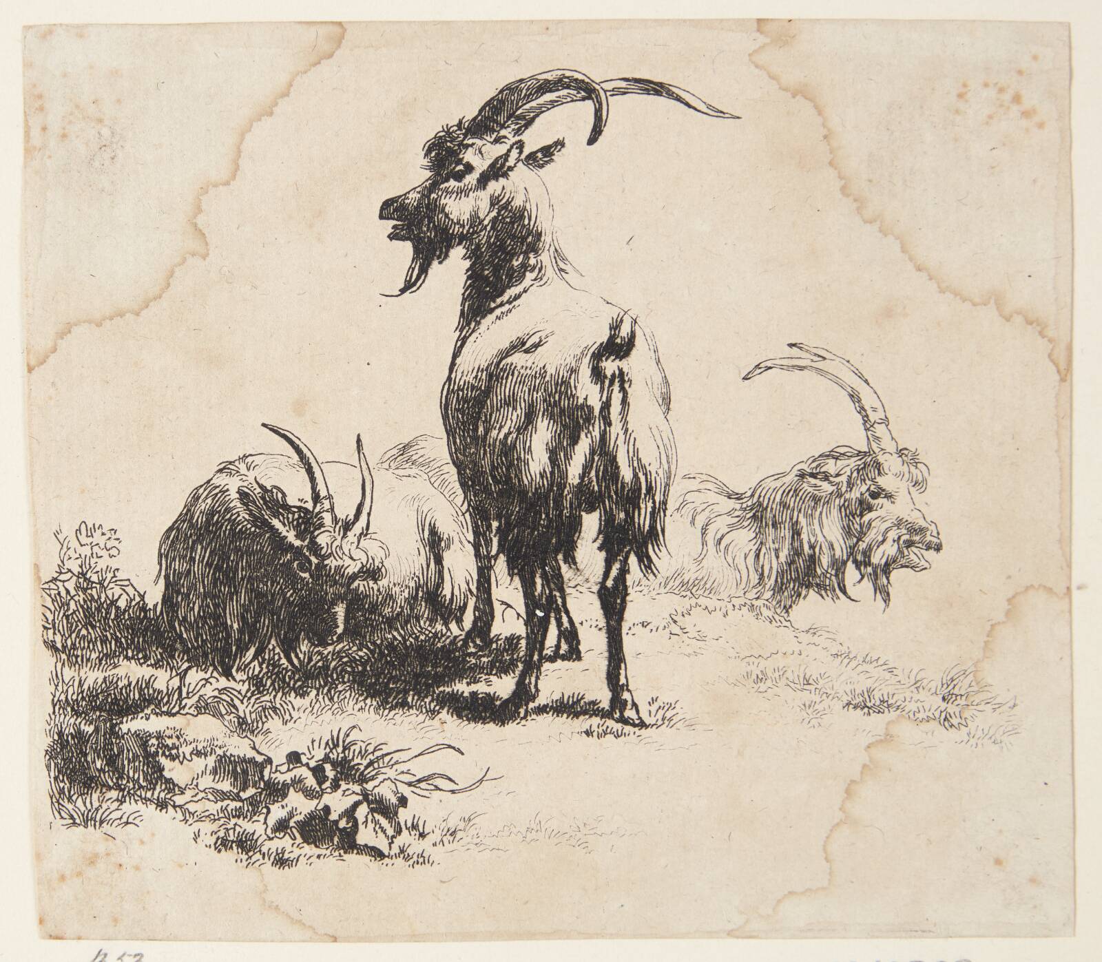 Tre geder, Nicolaes Berchem, 1620-1683