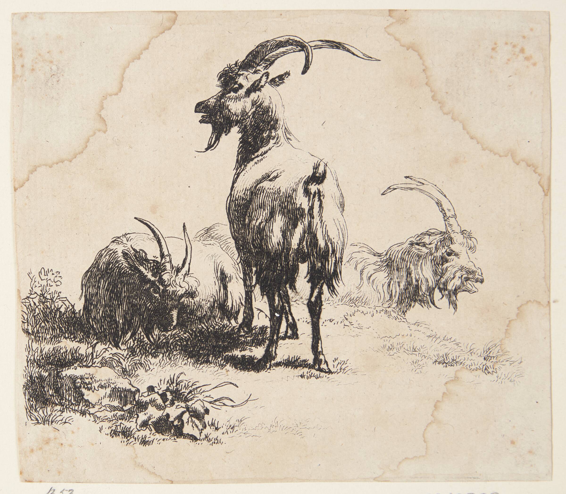Tre geder, Nicolaes Berchem, 1620-1683