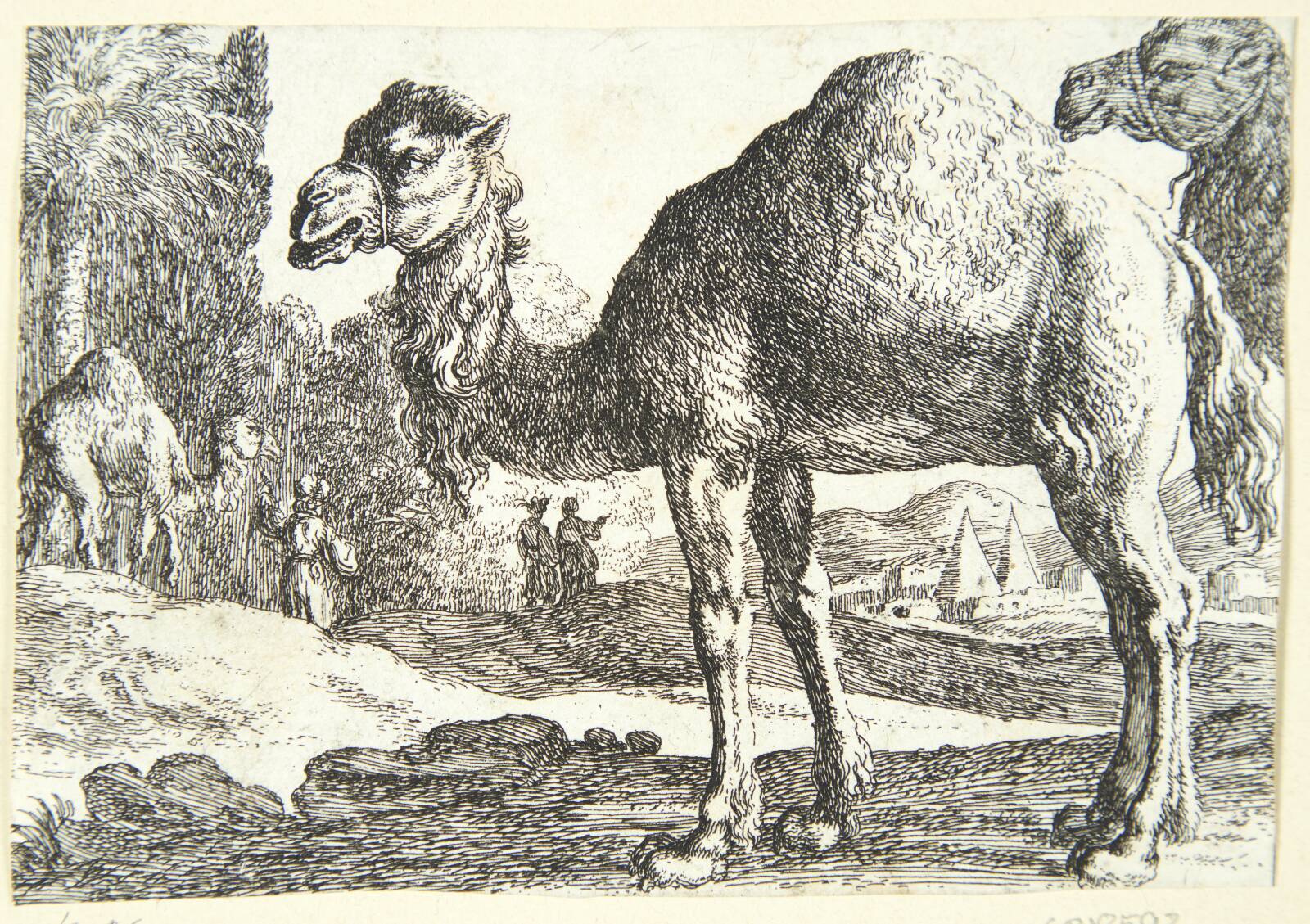 Kameler, Herman van Swanevelt, 1603-1655