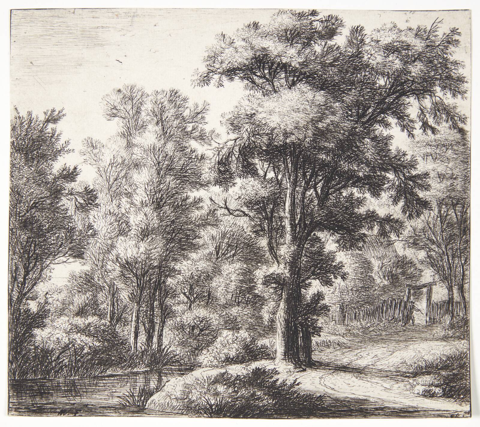 Et skovbryn, Anthonie Waterloo, 1610-1690