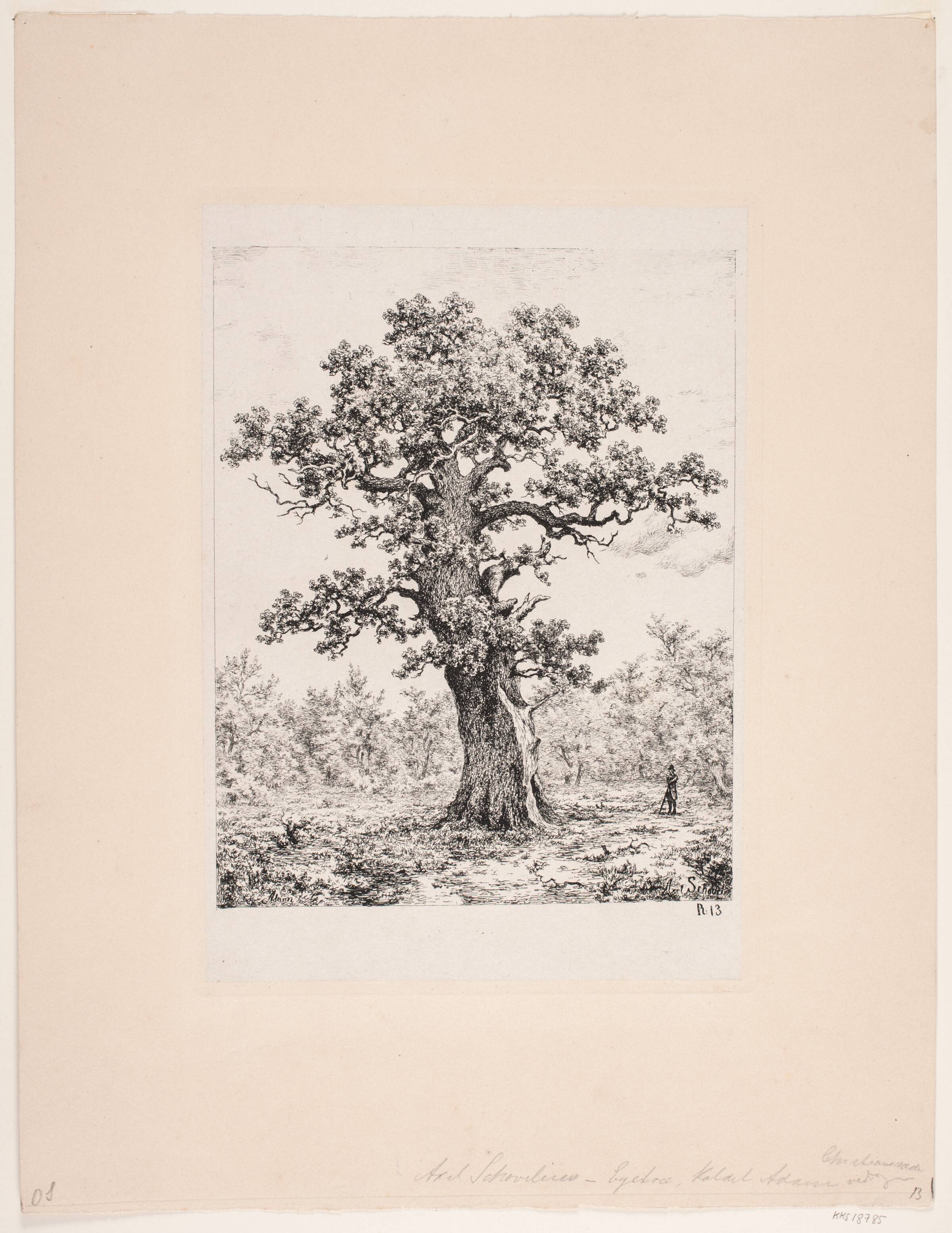 Adam. Christianssæde, Lolland, Axel Schovelin, 1887