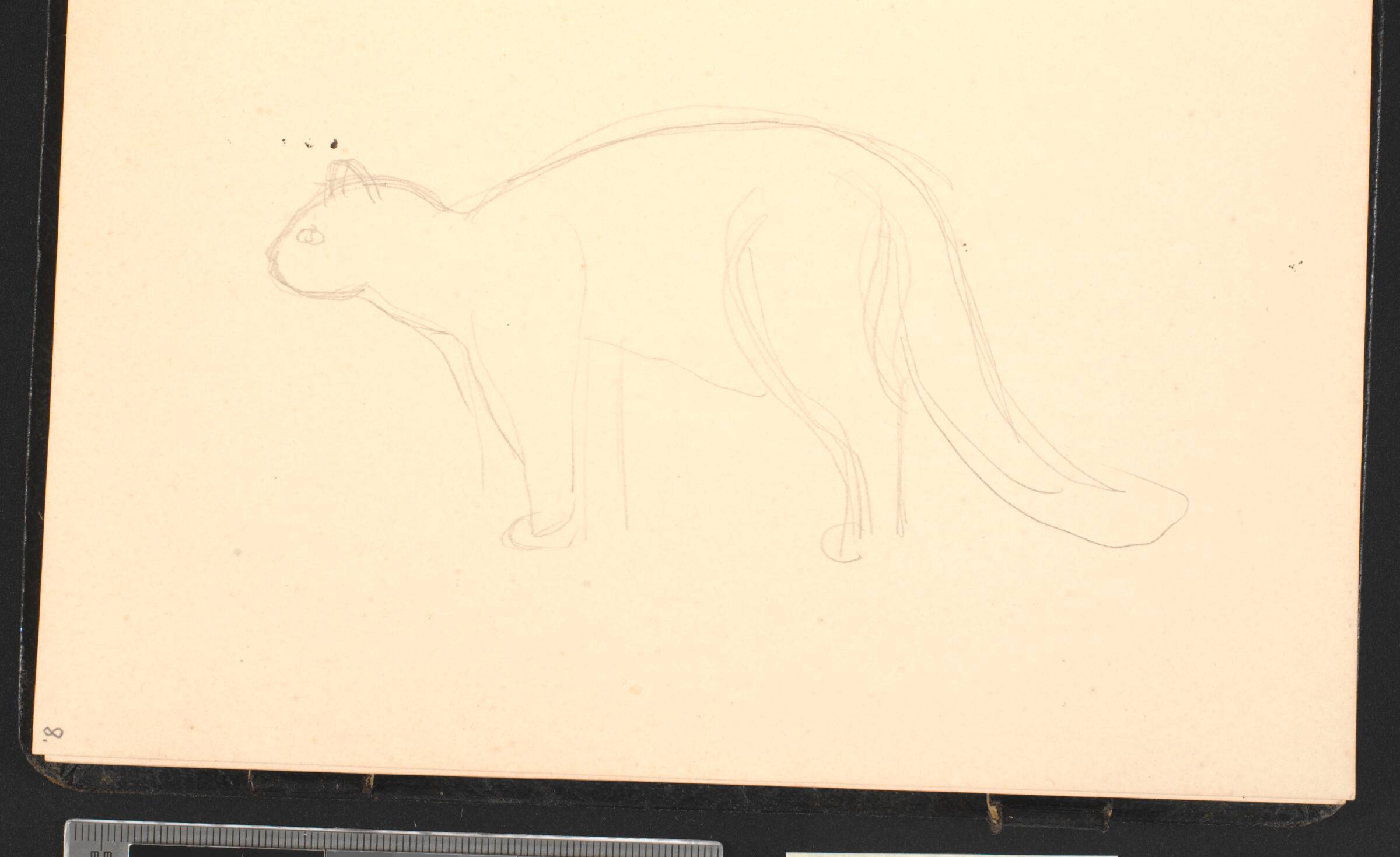 En kat, J.F. Willumsen, 1907-1910