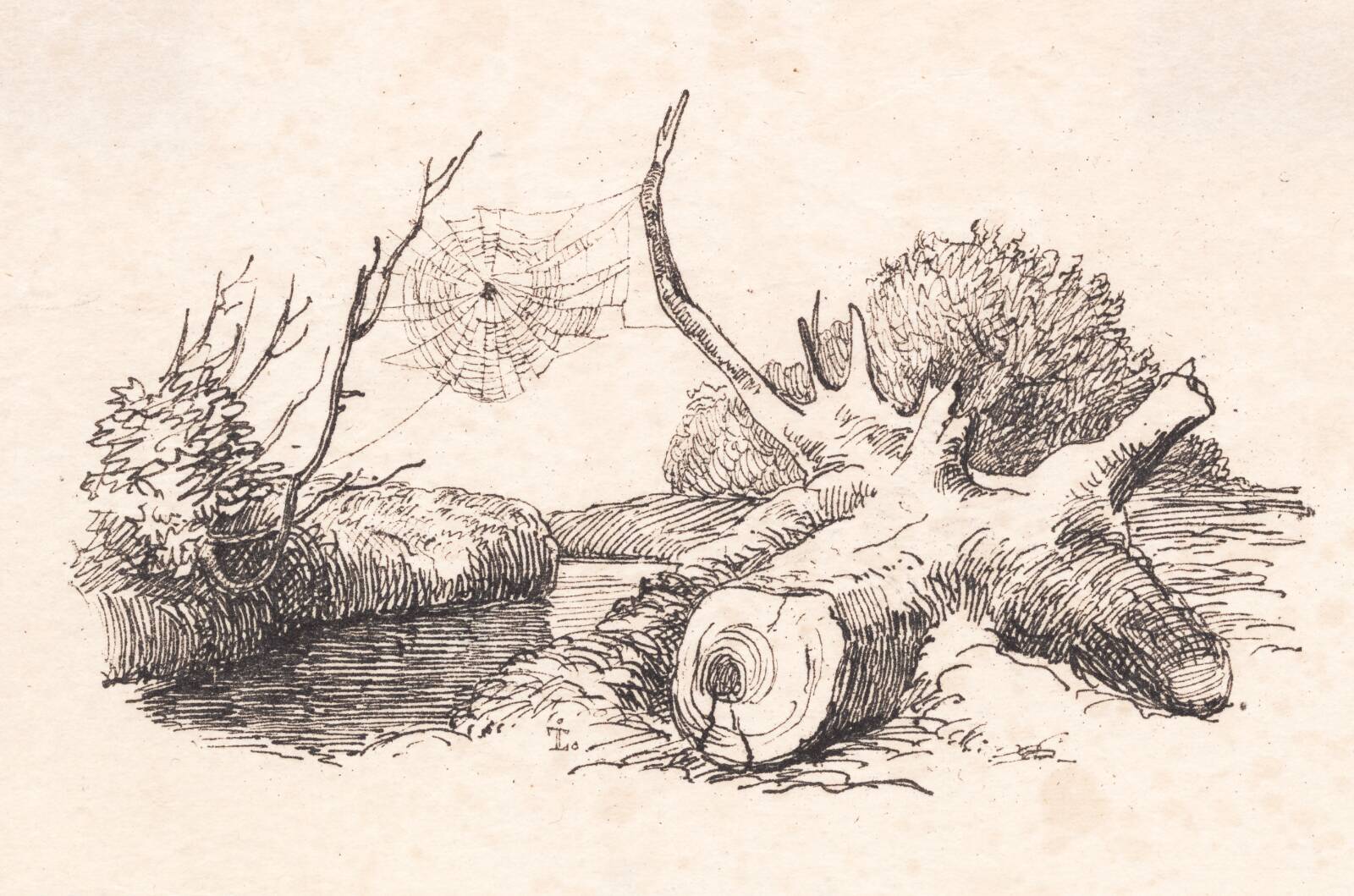 Edderkoppen, Johan Thomas Lundbye, 1843
