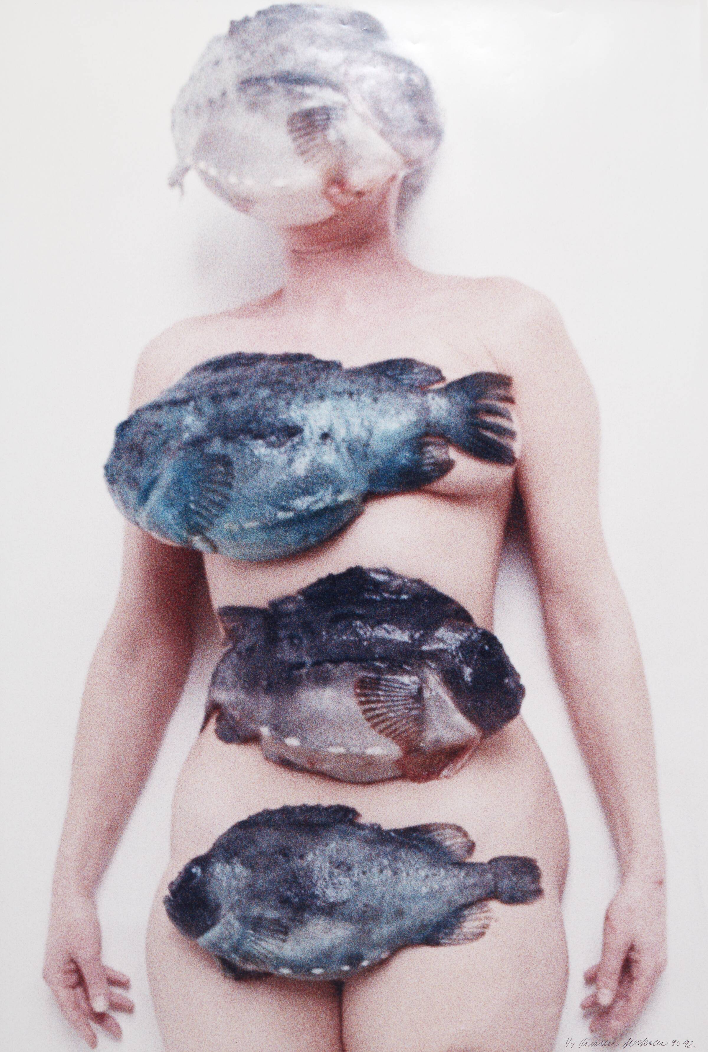 "Surfacing / Oven Vande", Kirsten Justesen, 1990-1992