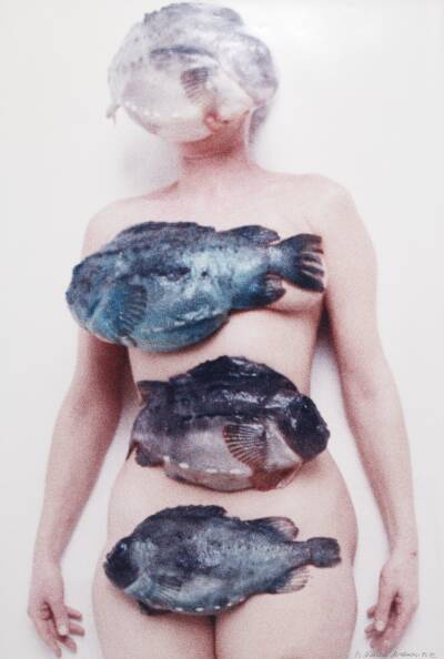 "Surfacing / Oven Vande", Kirsten Justesen, 1990-1992