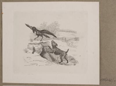 Illustration til O. Specter, "Fabler for Børn"