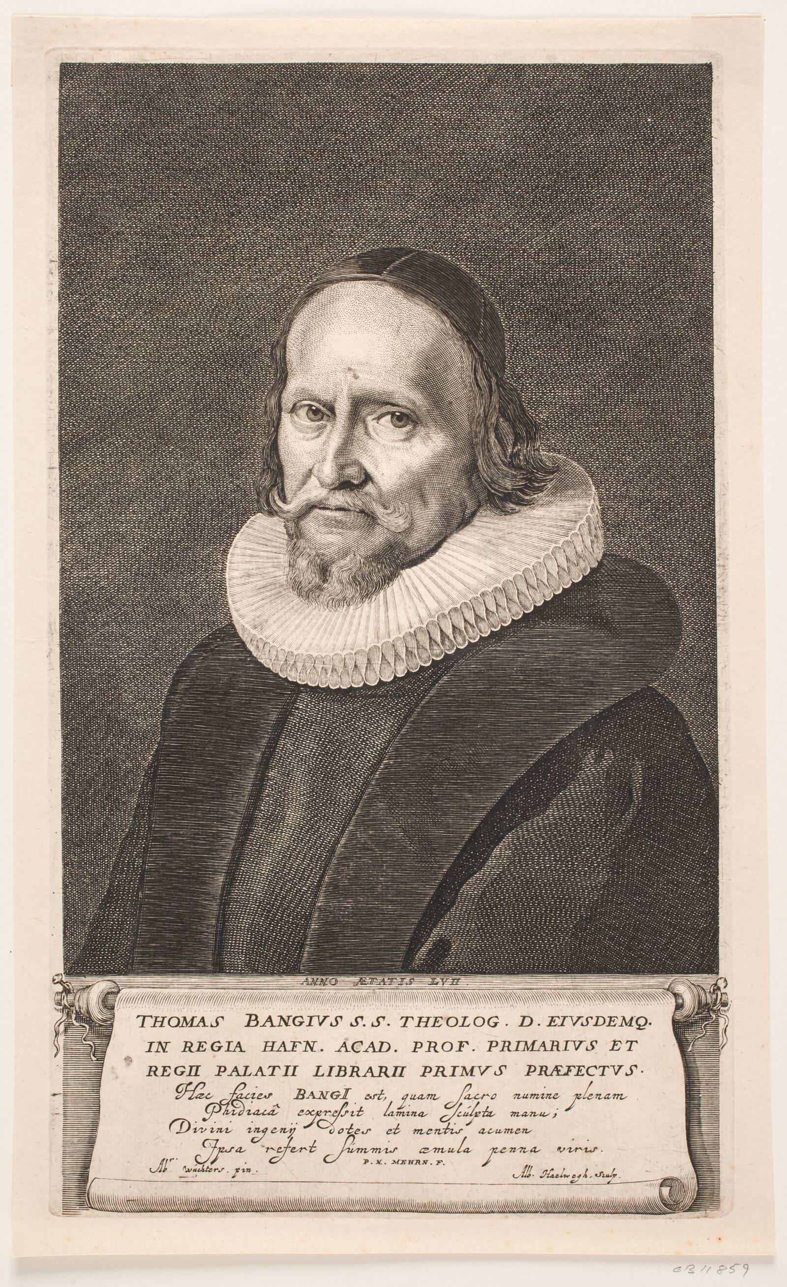 Thomas Bang, Albert Haelwegh, 1655-1659