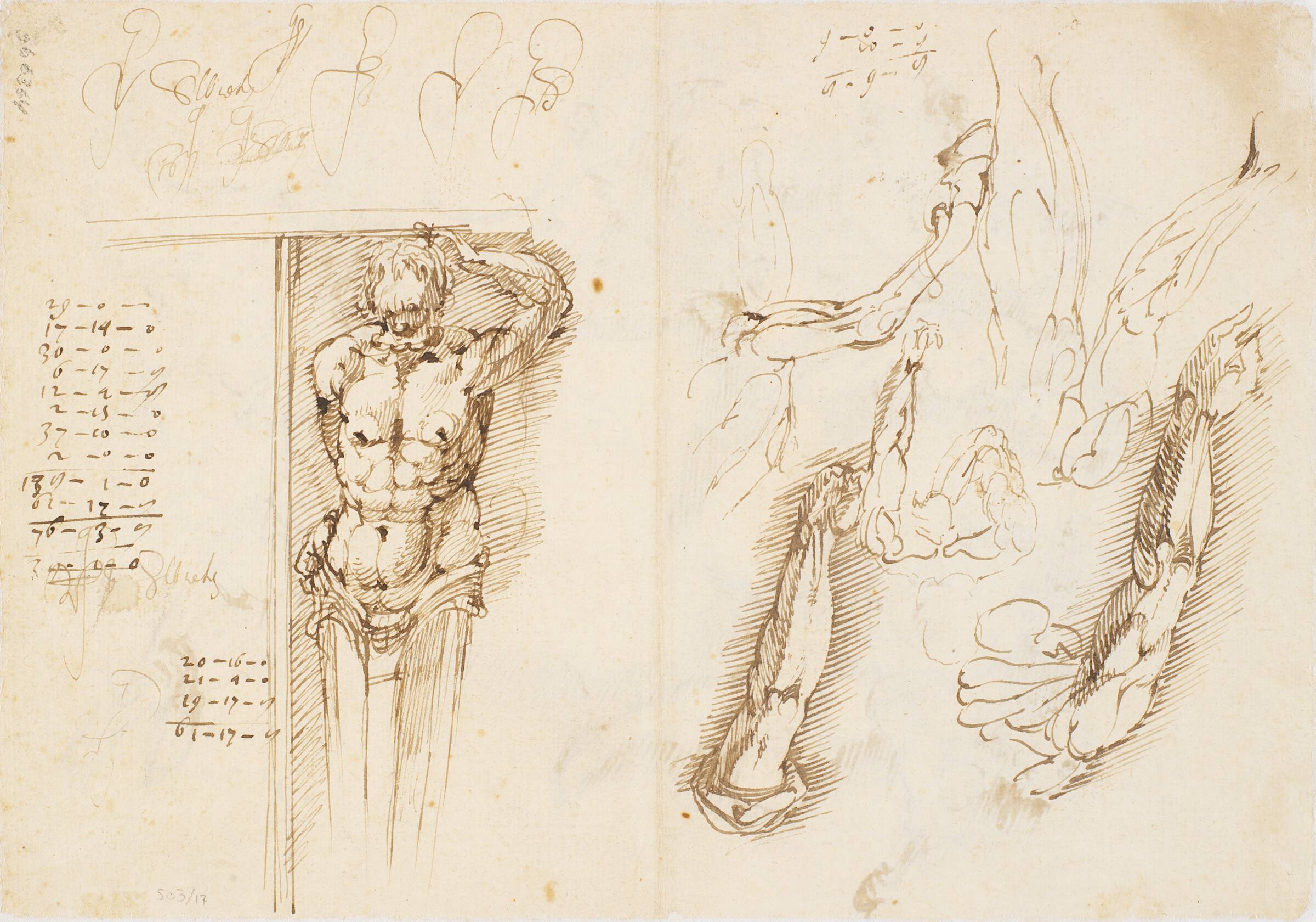 Mandlig herme, studier af mandlige arme og hesteben, regnskaber og skriftprøve, Frantz Clein, 1582-1658