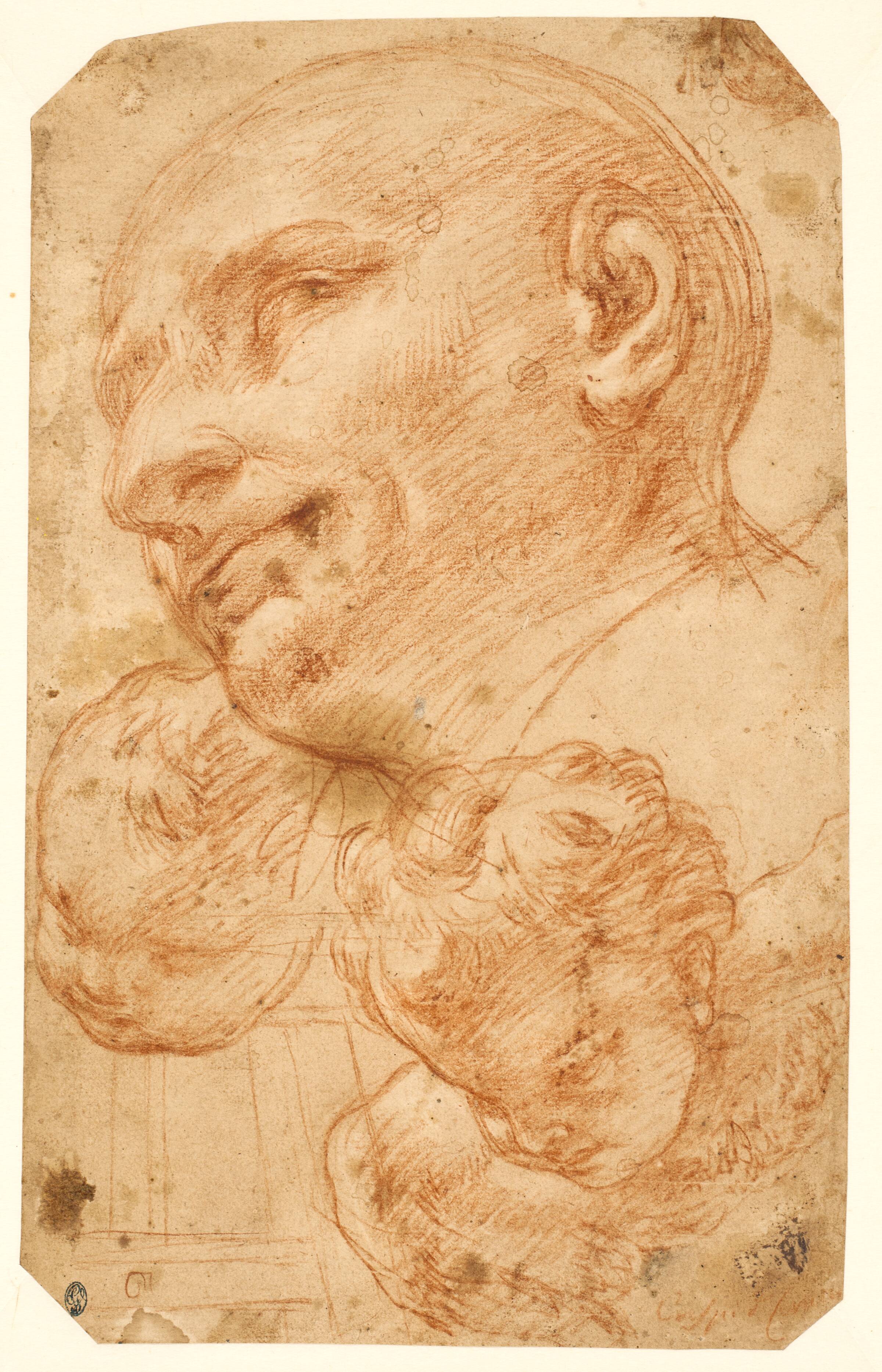Sankt Carlo Borromeos hoved mellem to keruber, Giacinto Brandi, 1621-1691
