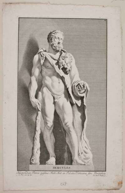 "Hercules"