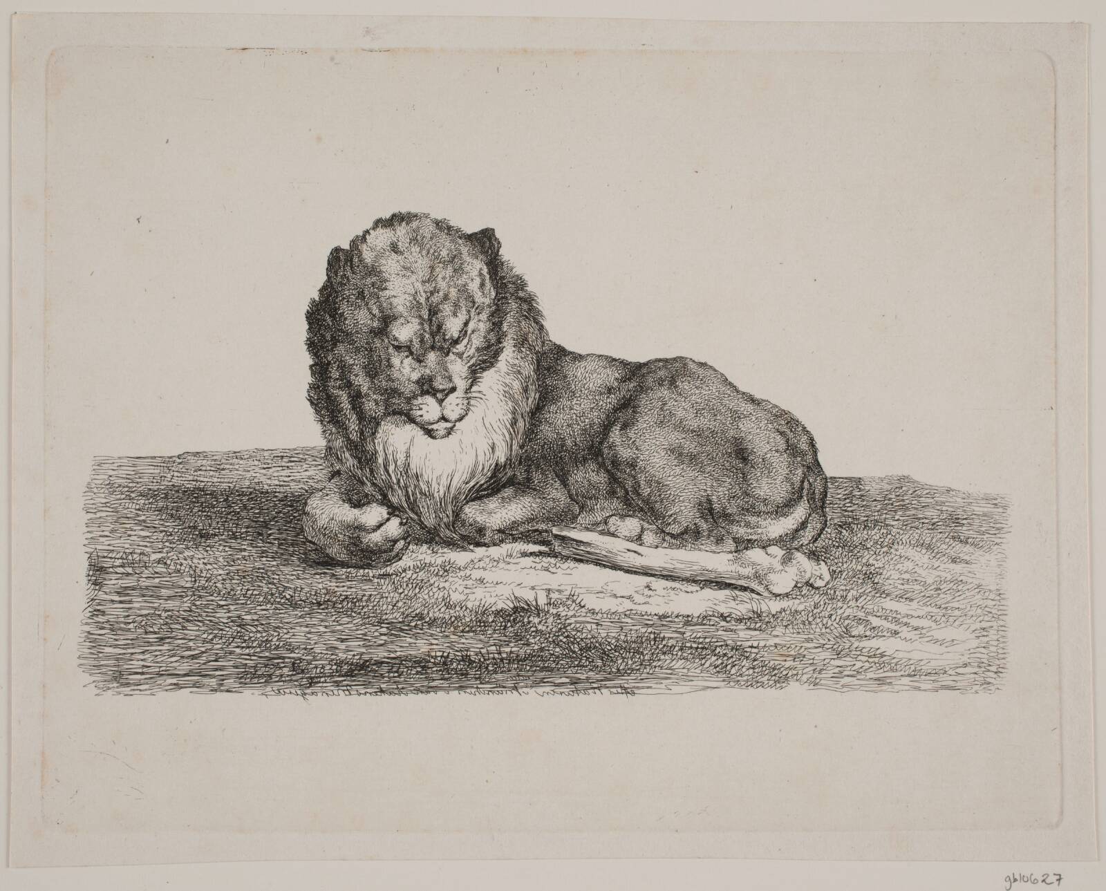 En løve, Christian David Gebauer, 1829