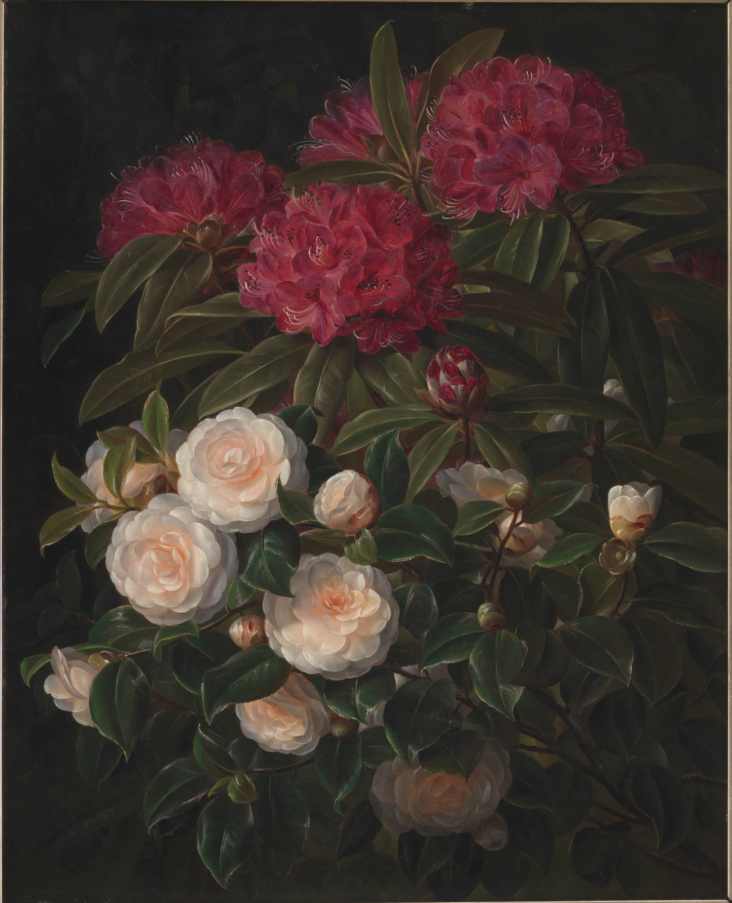 Kamelier og rhododendron, J.L. Jensen, 1852