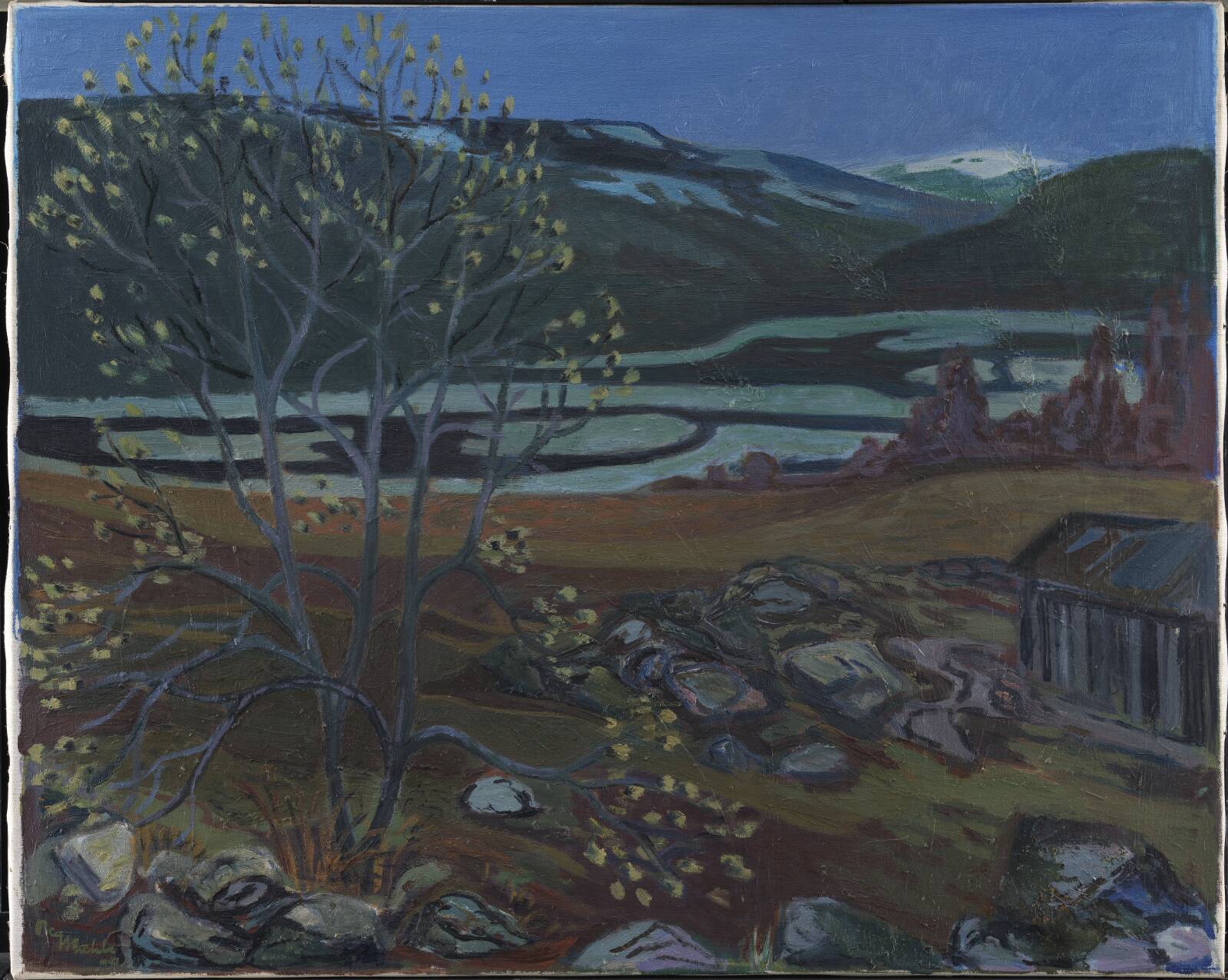 Seljen blomstrer, Ole Mæhle, 1947